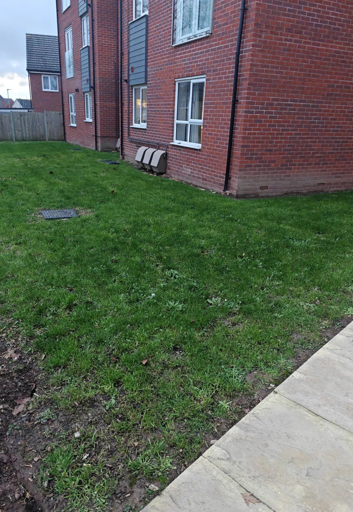 image-16