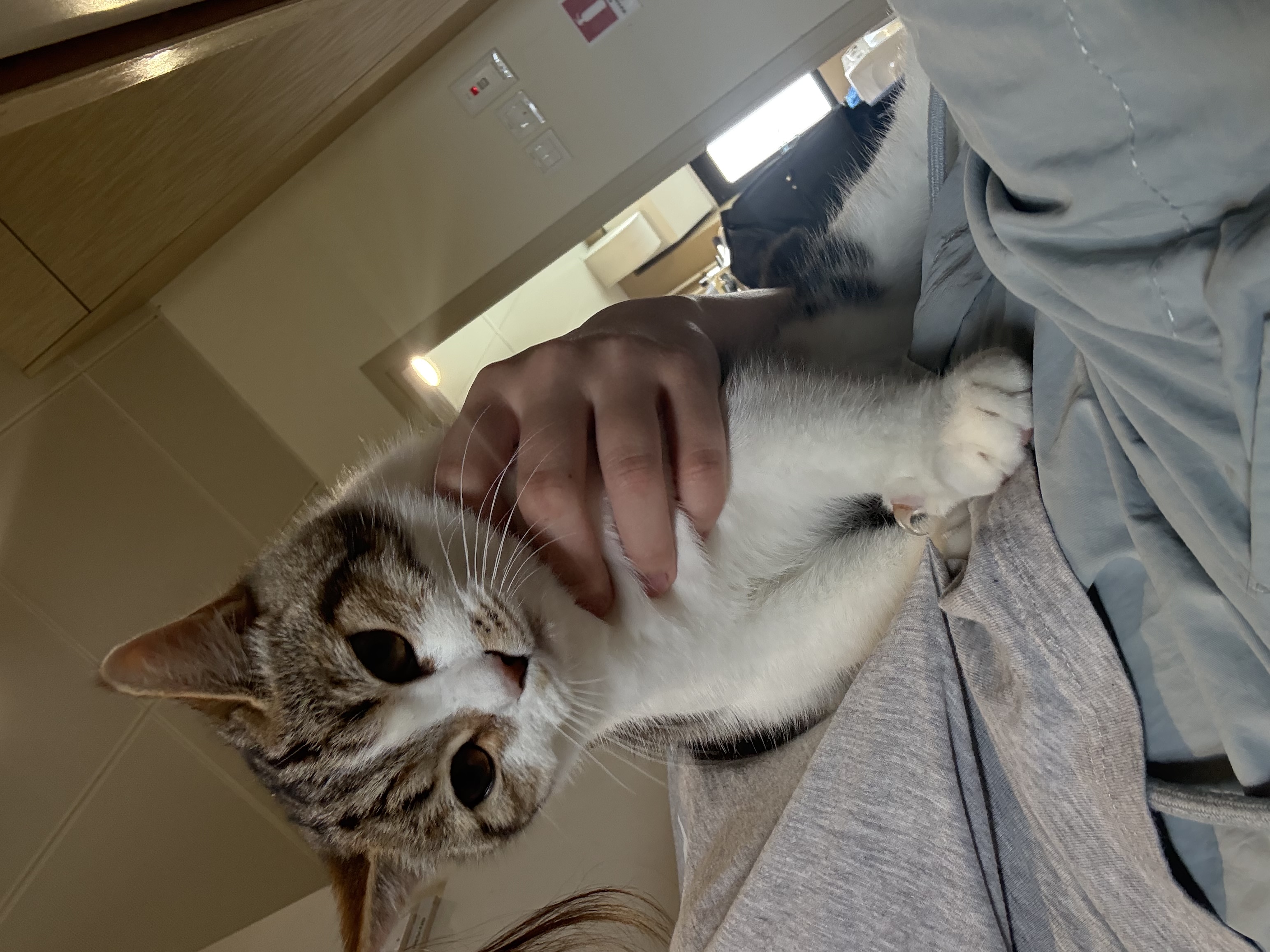 image-11