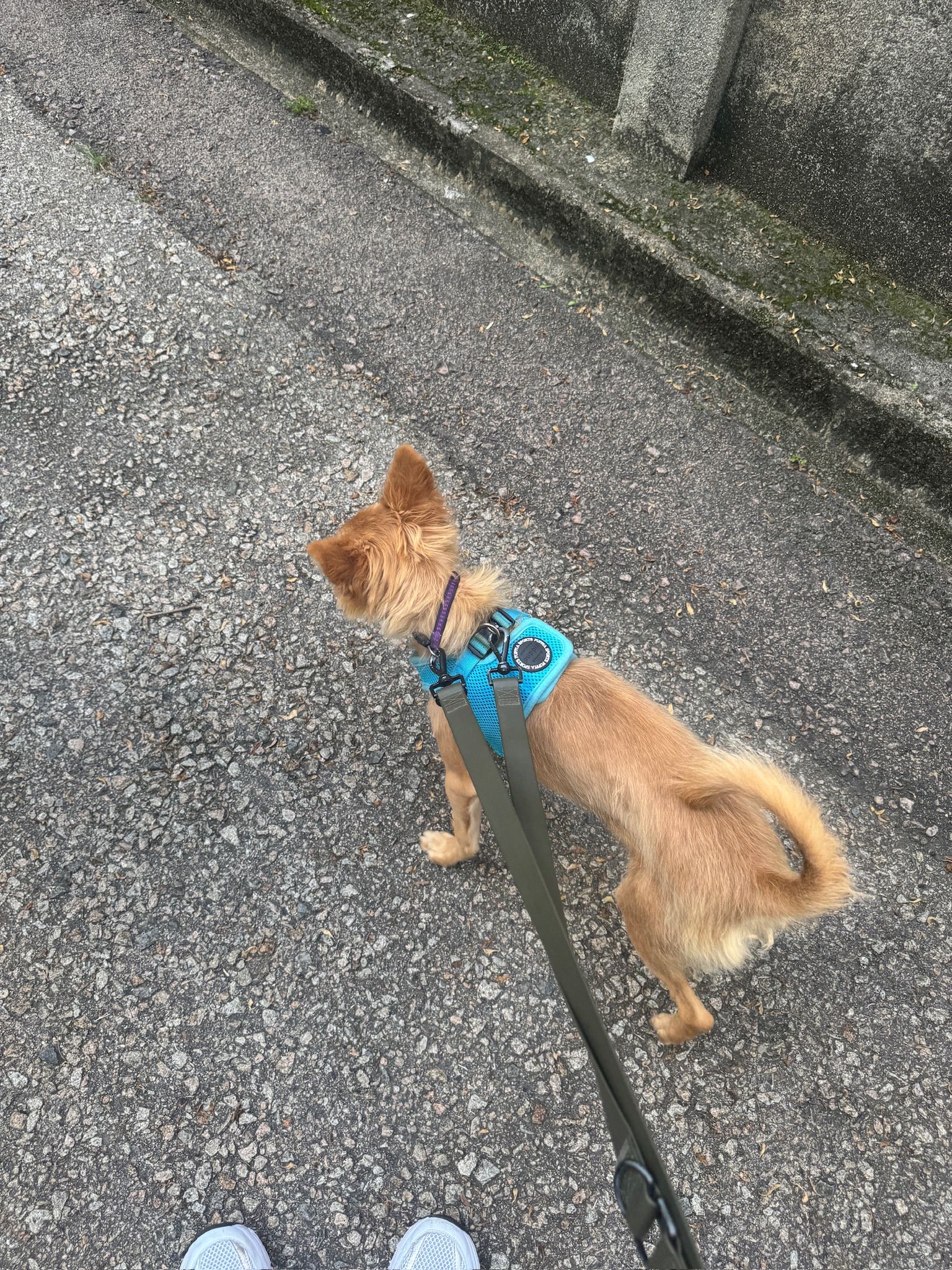 image-5