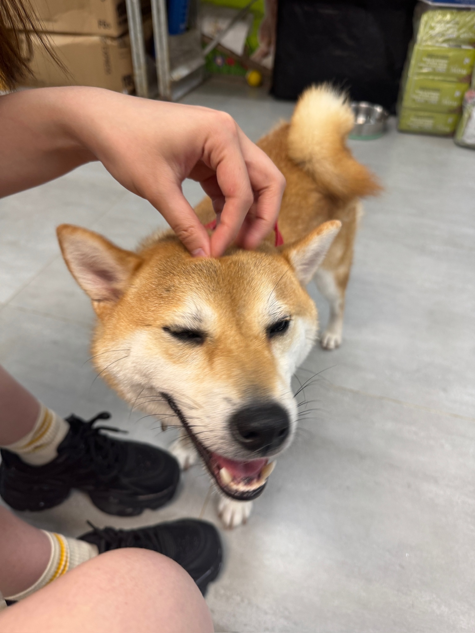 image-8