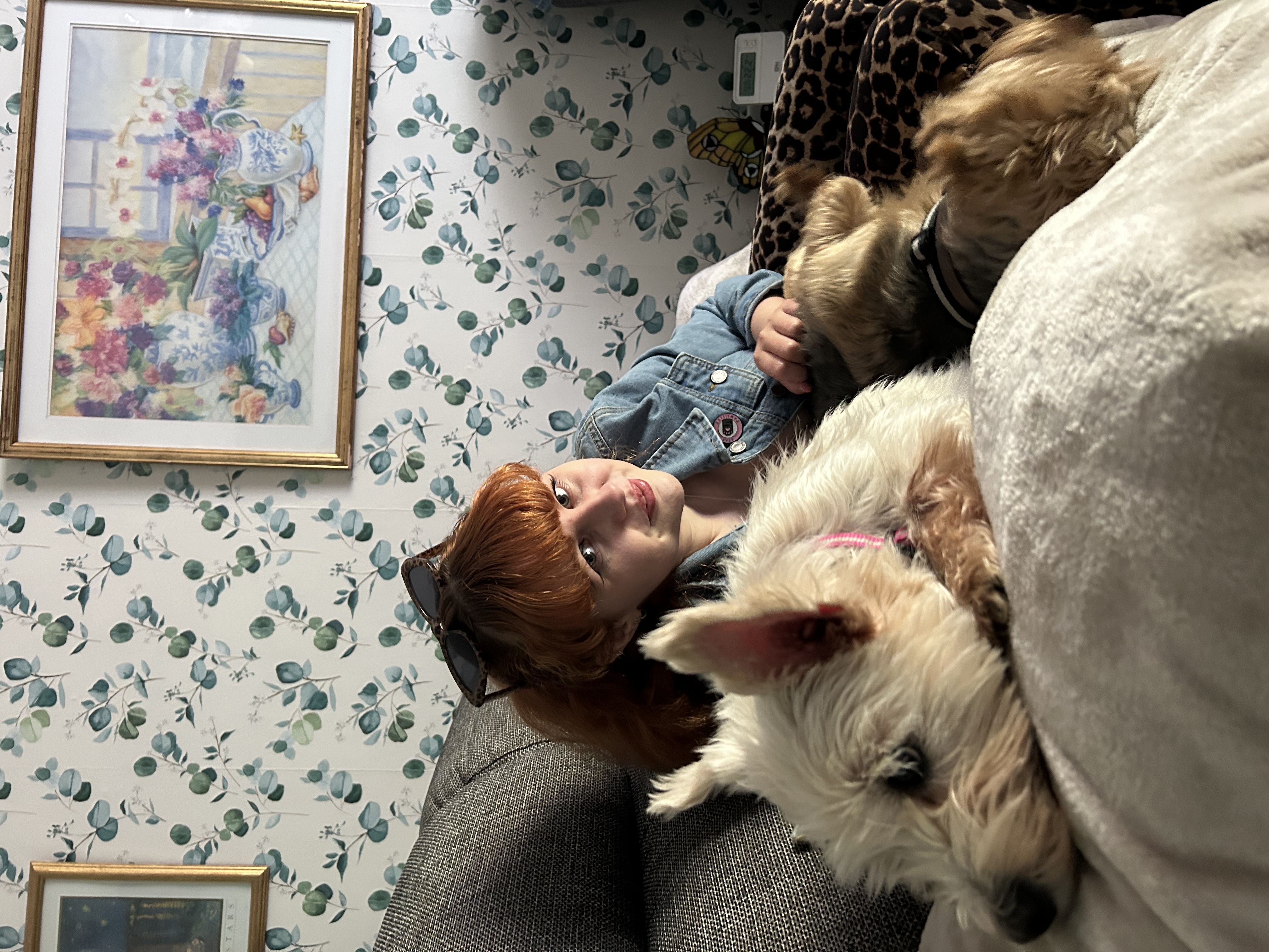 image-7