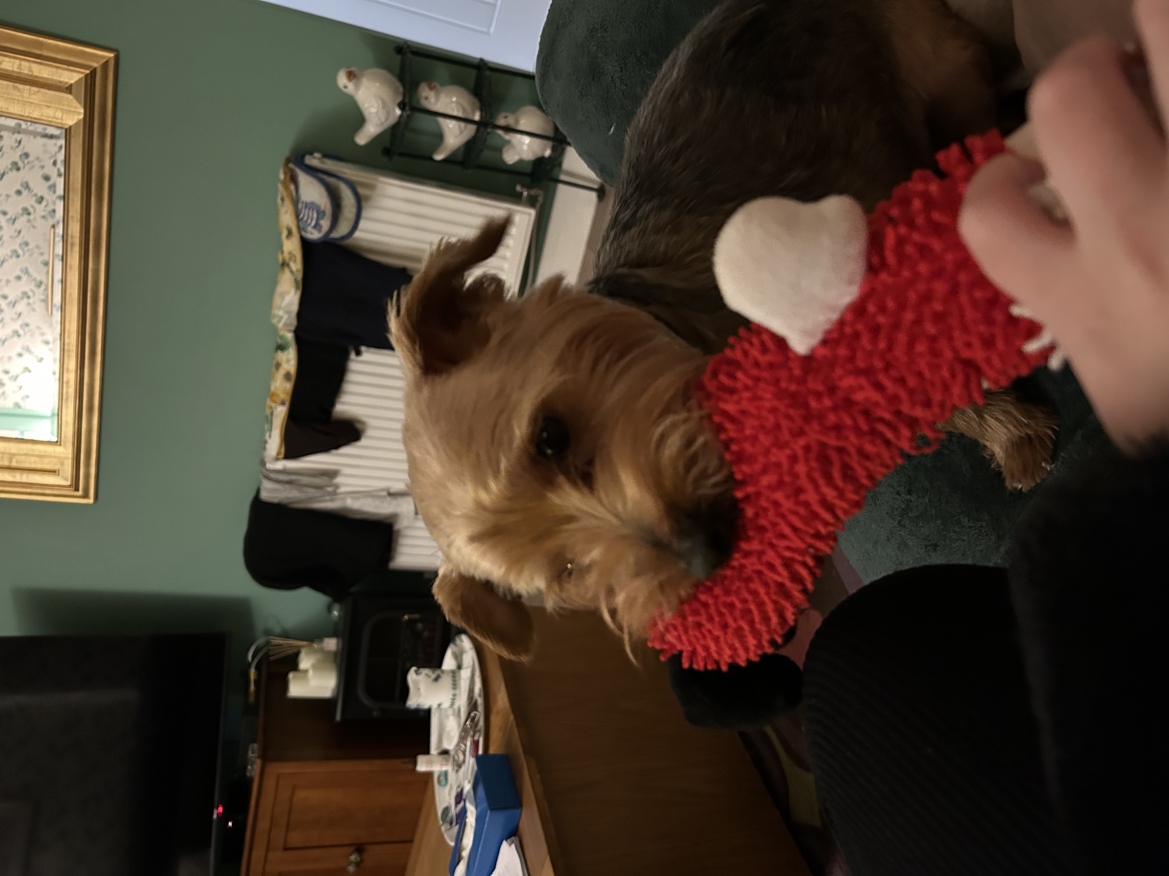 image-10