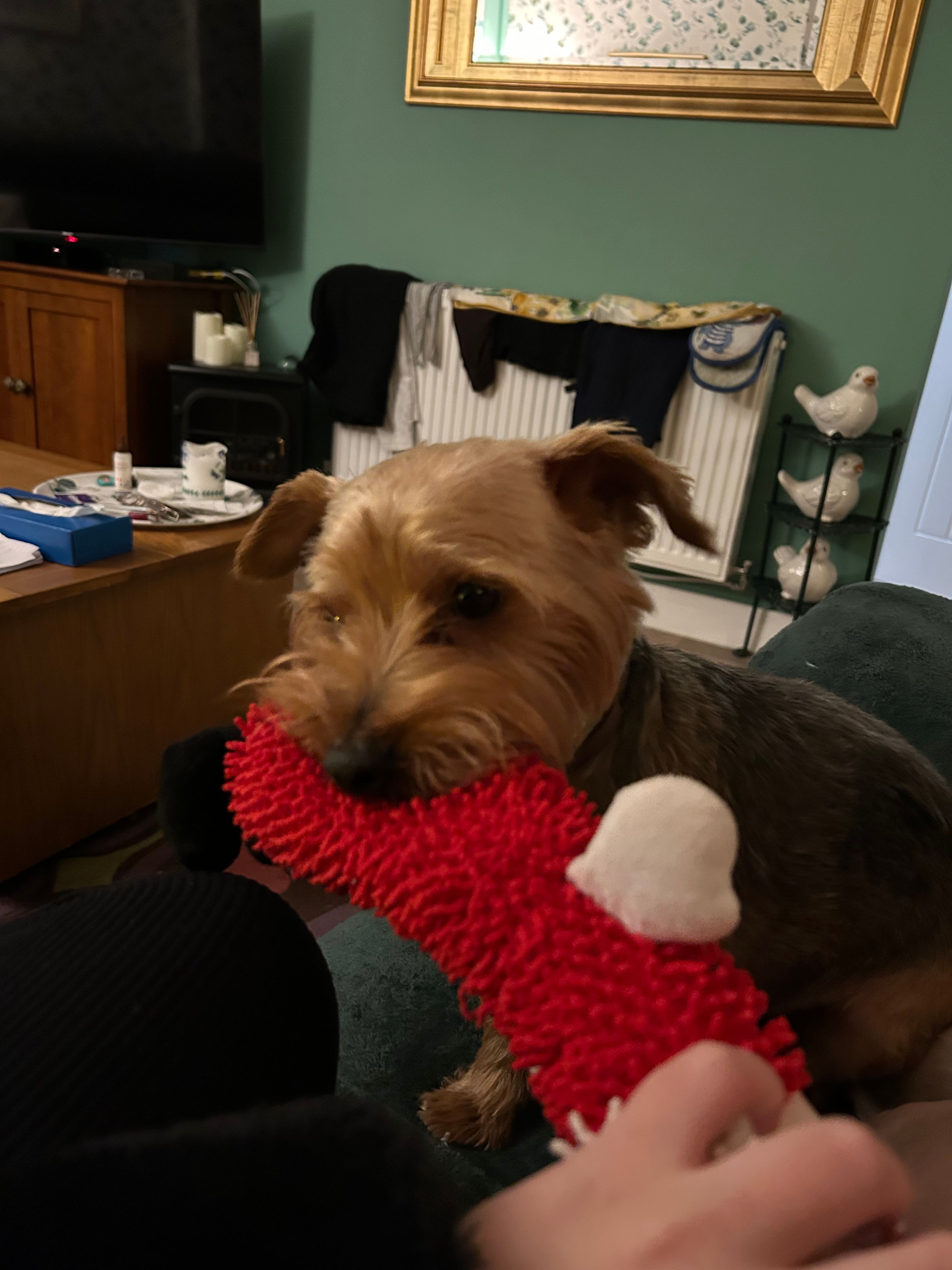 image-10