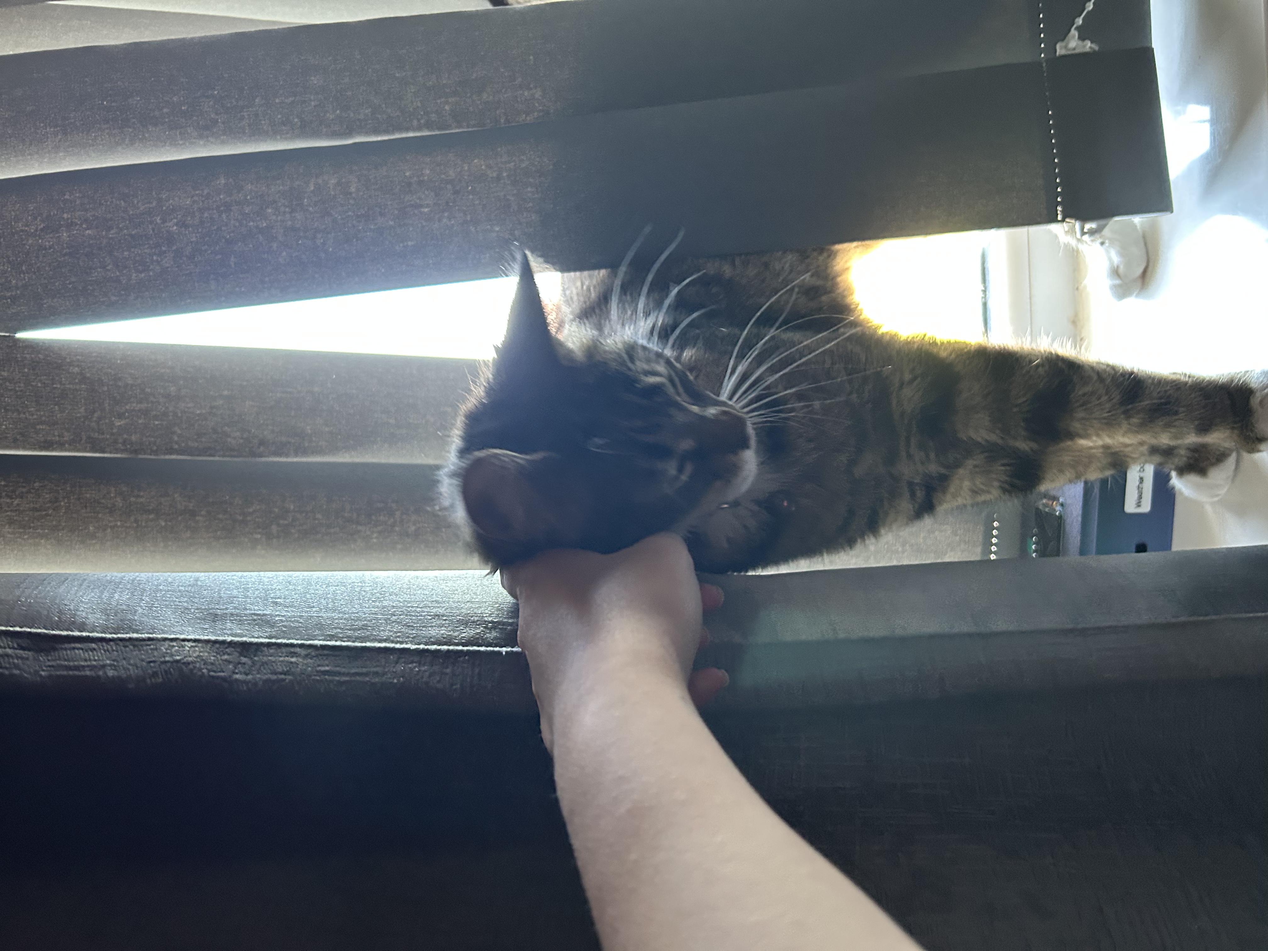 image-6