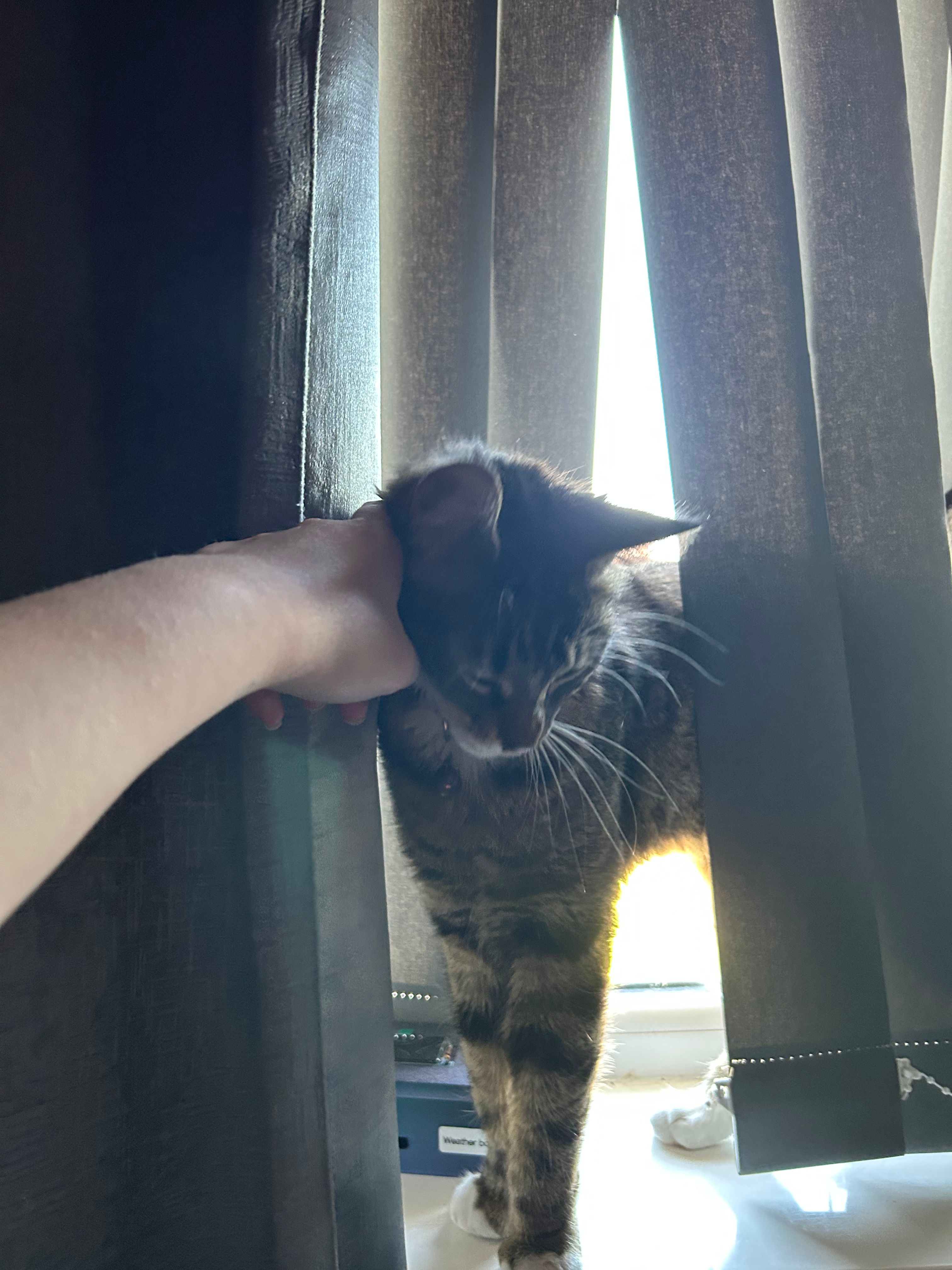 image-6
