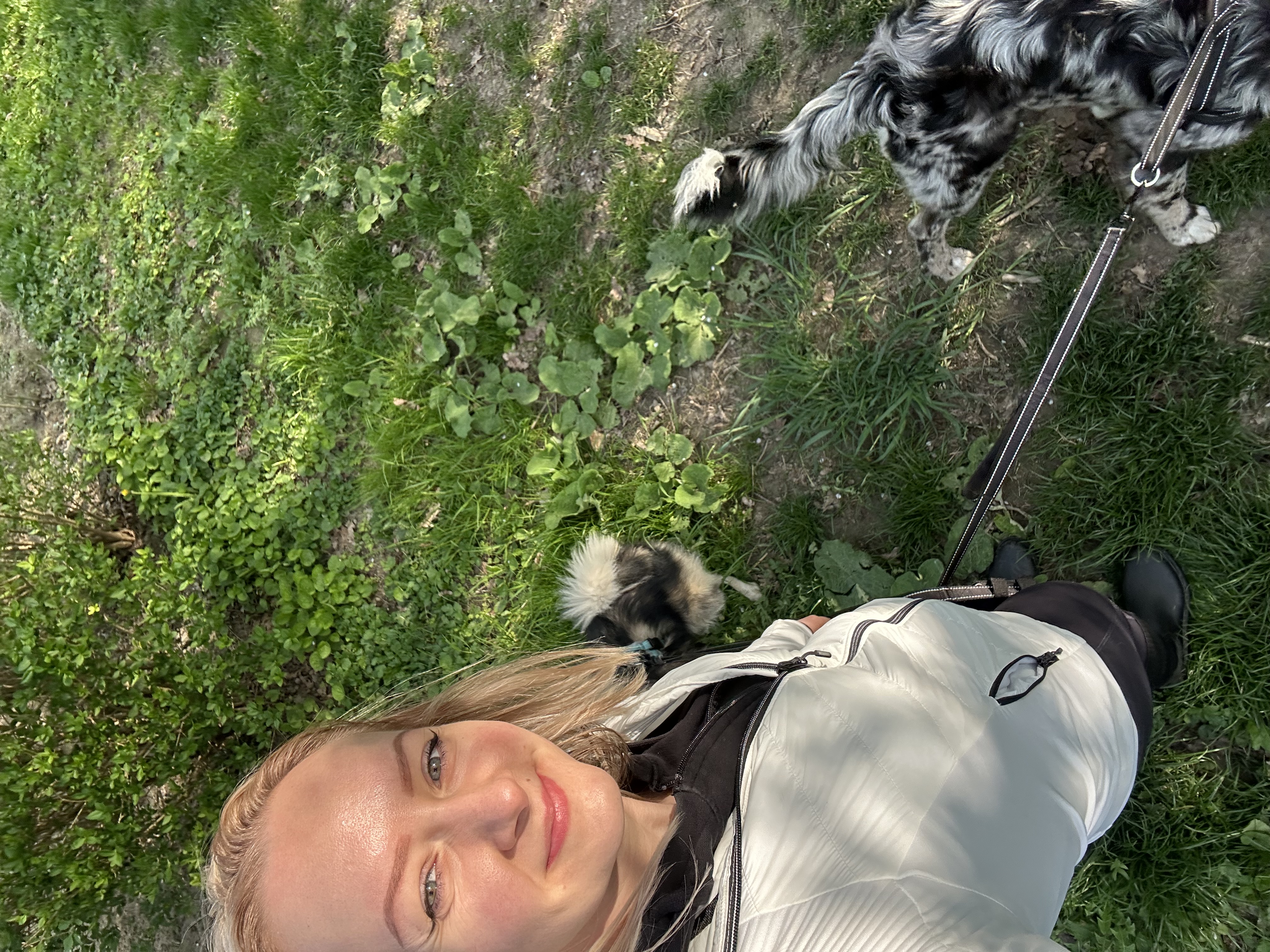 image-17