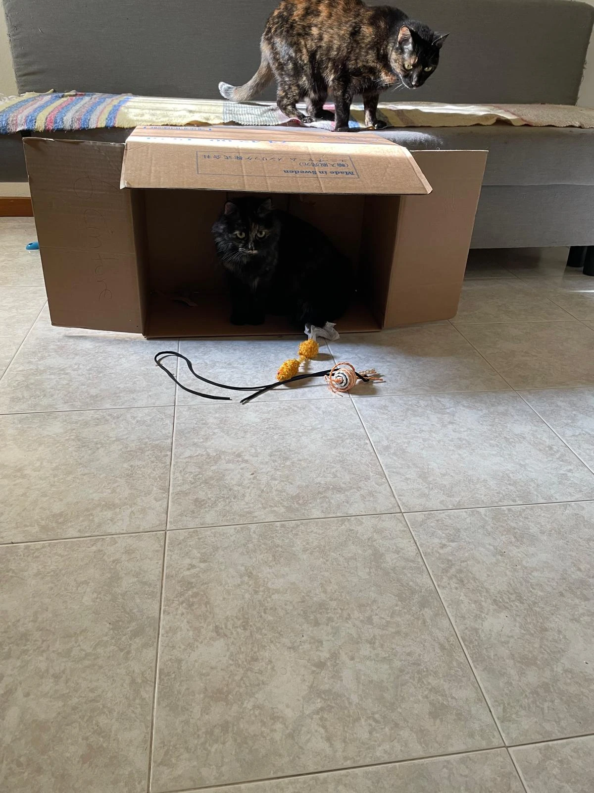 image-11