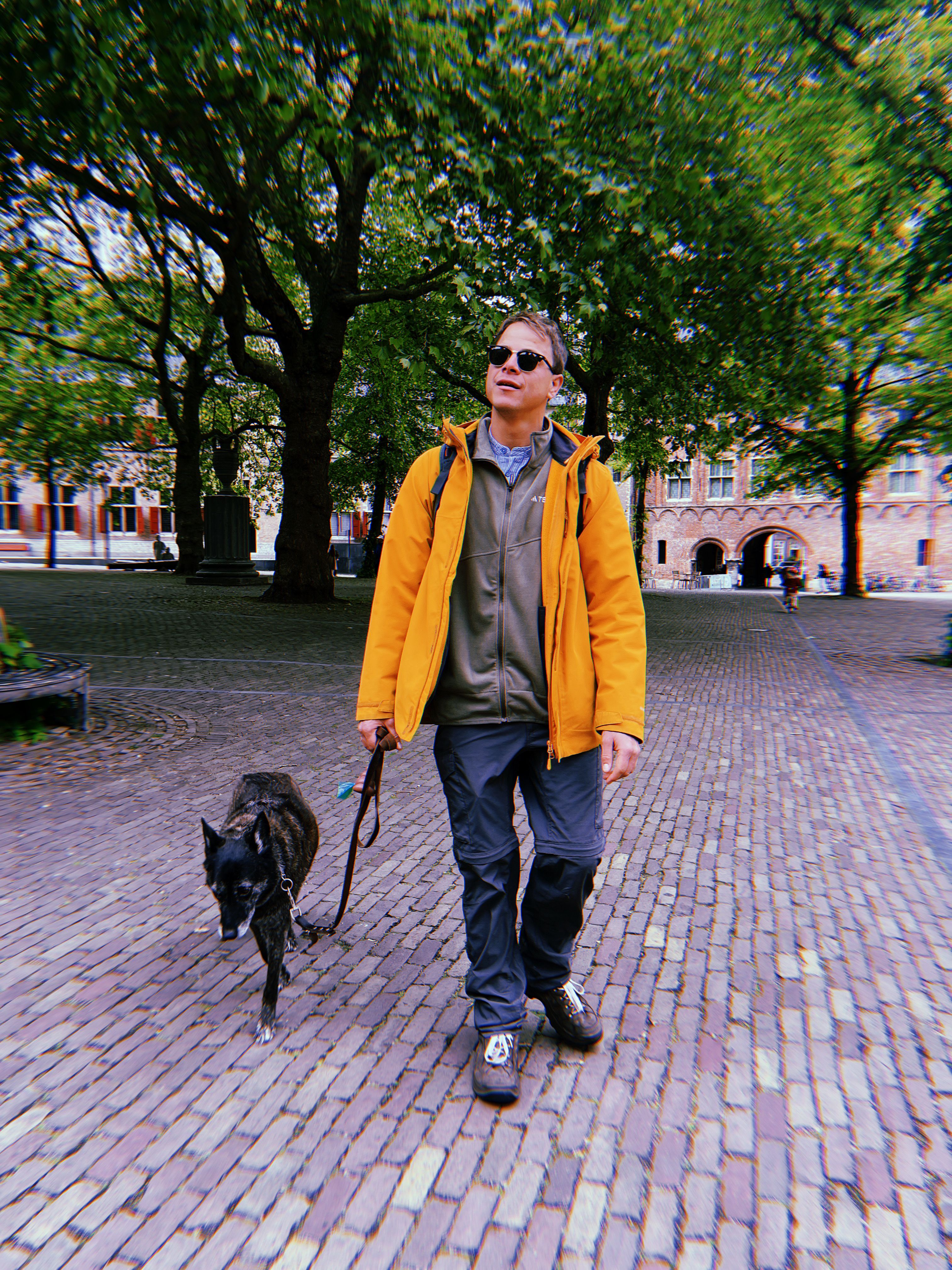 image-14