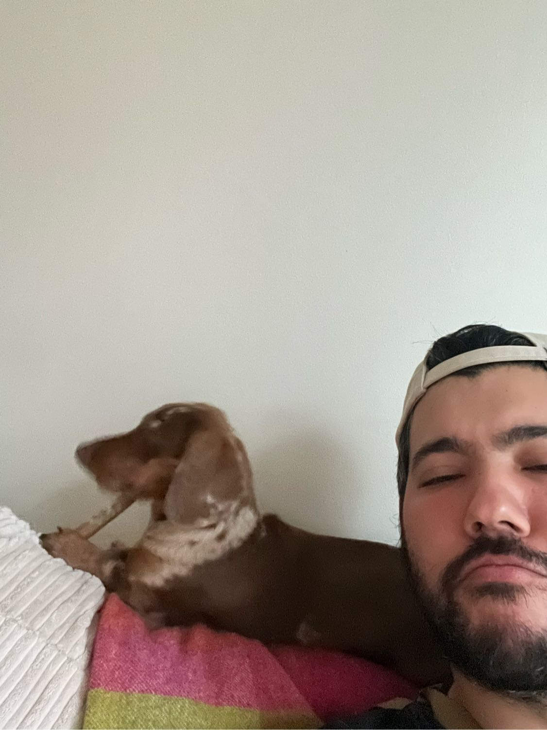 image-6