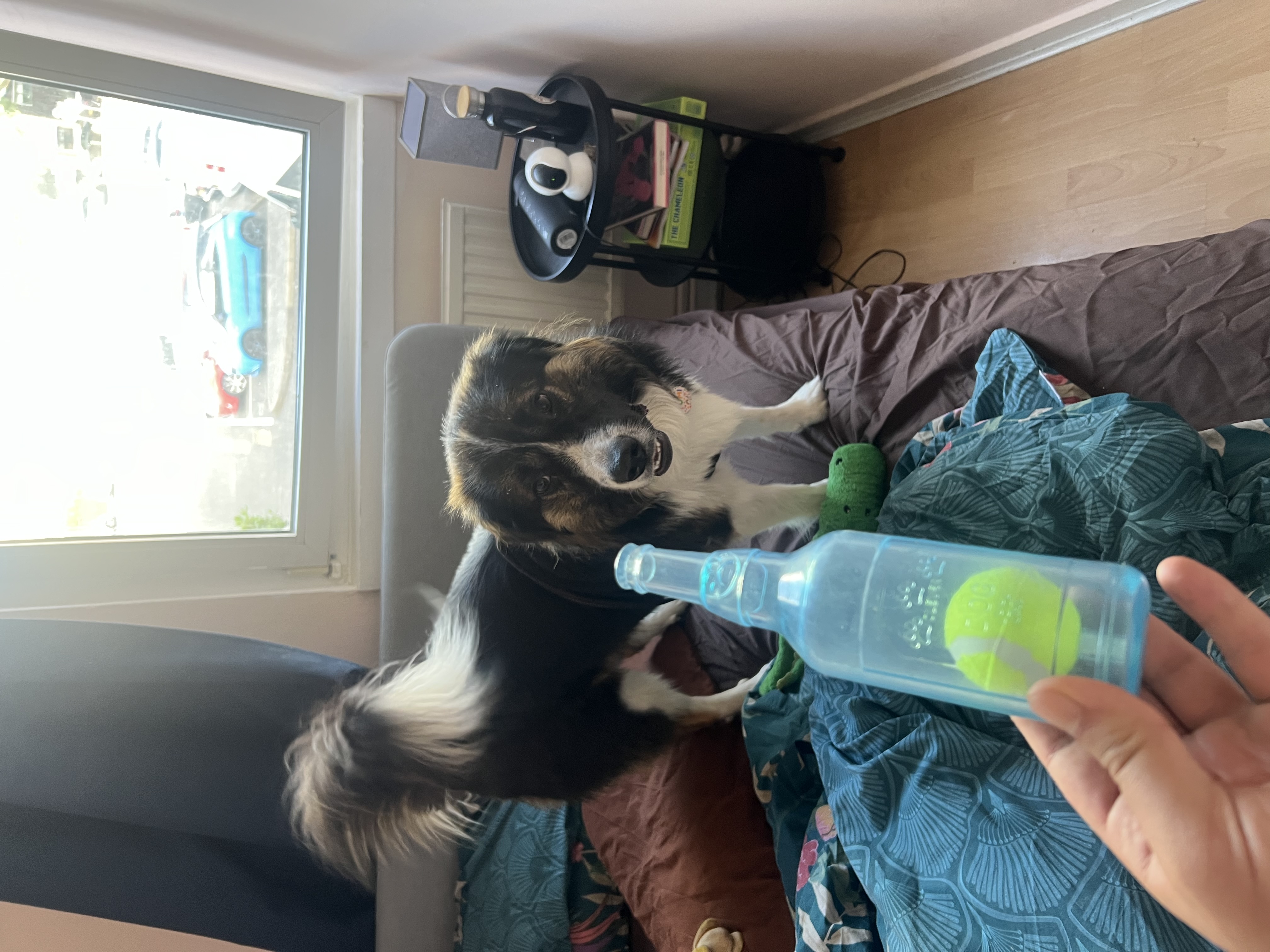 image-8