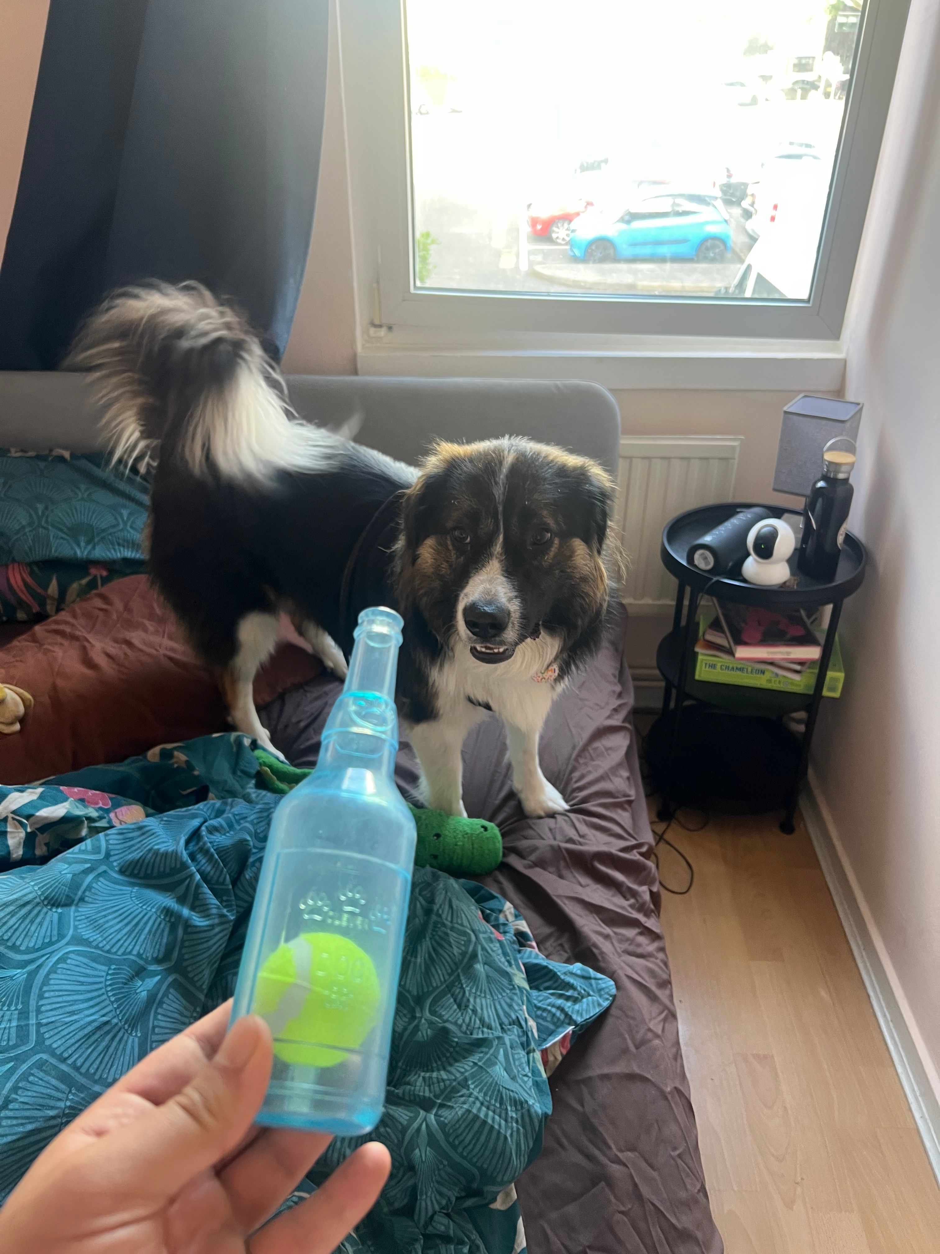 image-8