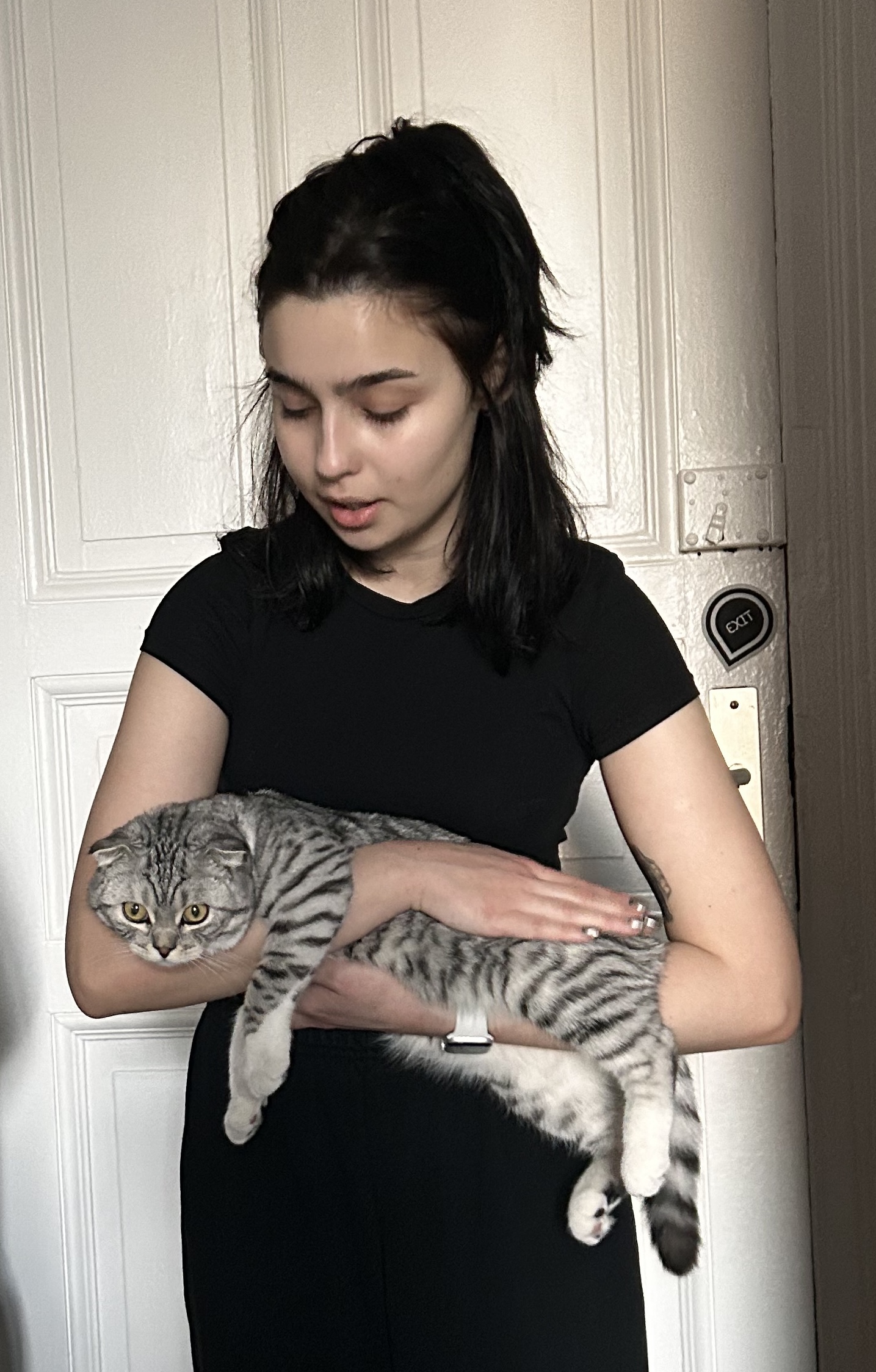 image-6