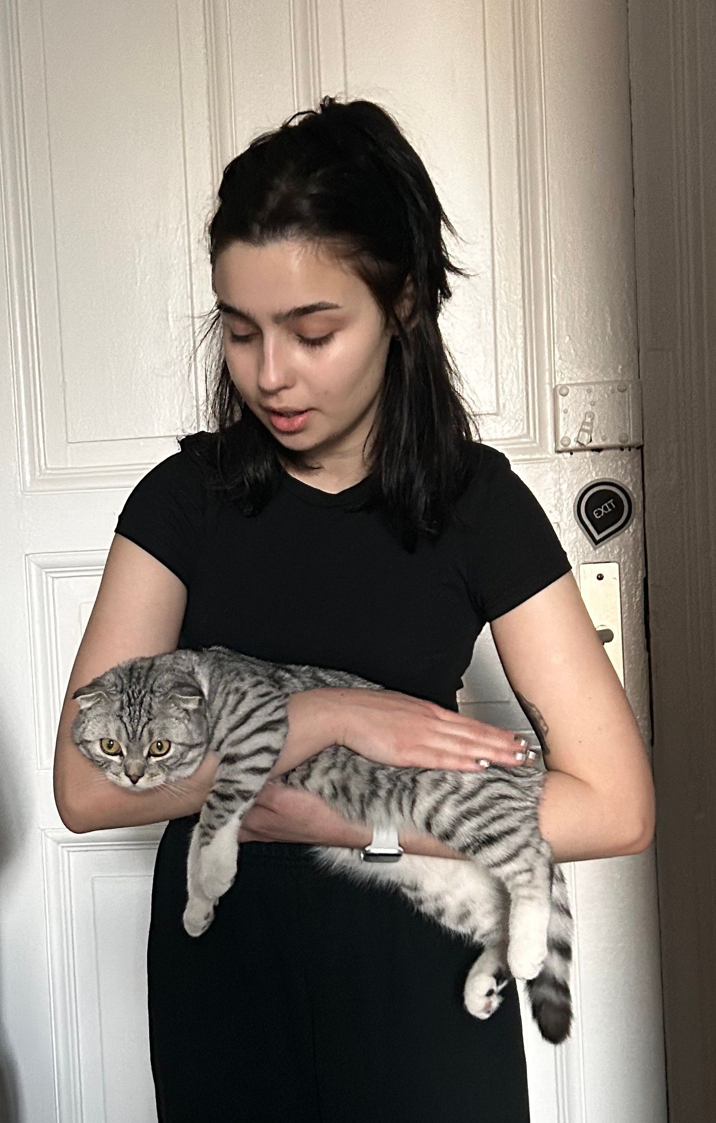 image-6