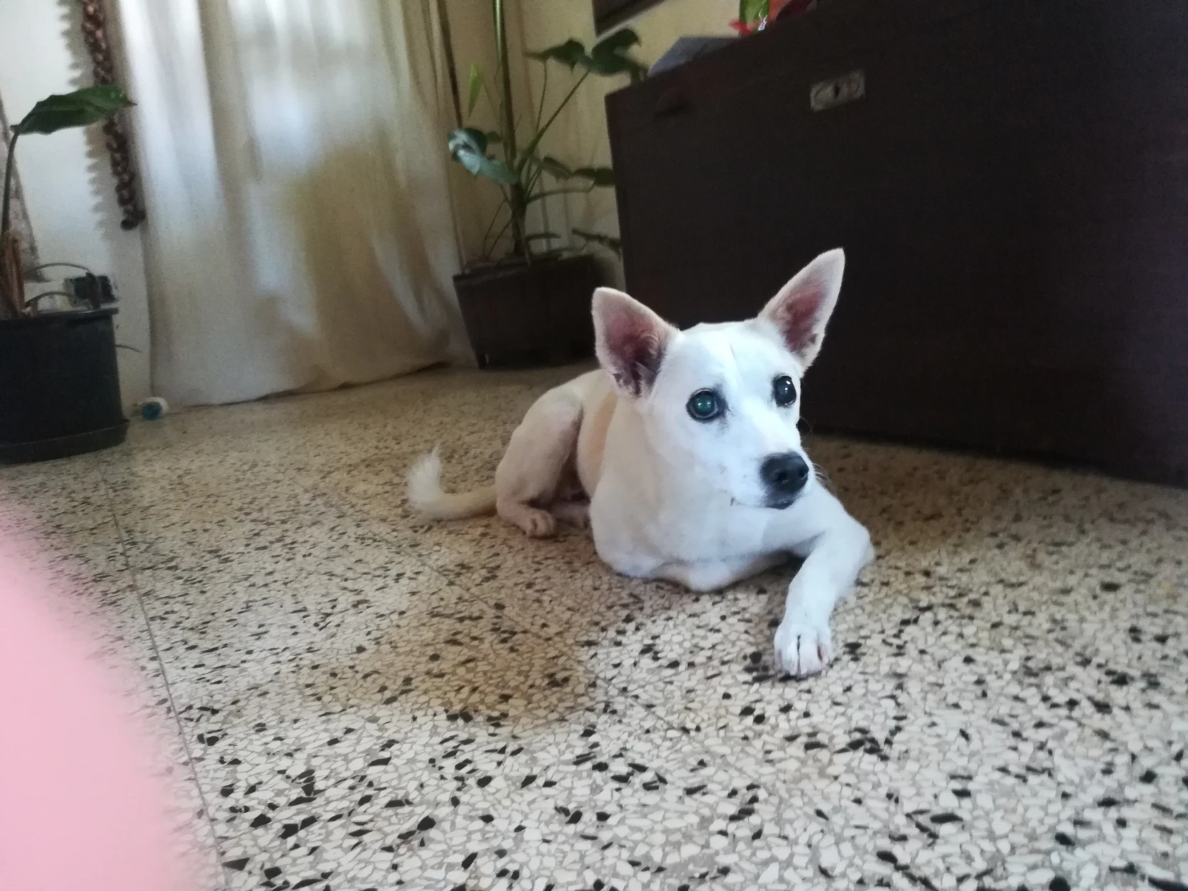 image-6