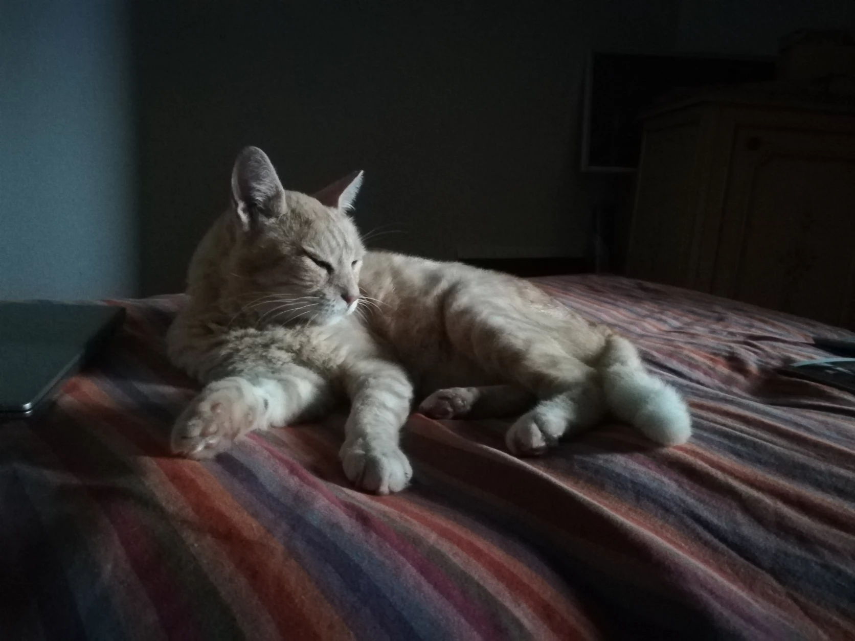image-7