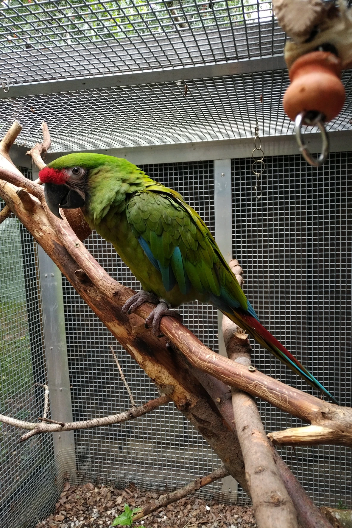 image-11