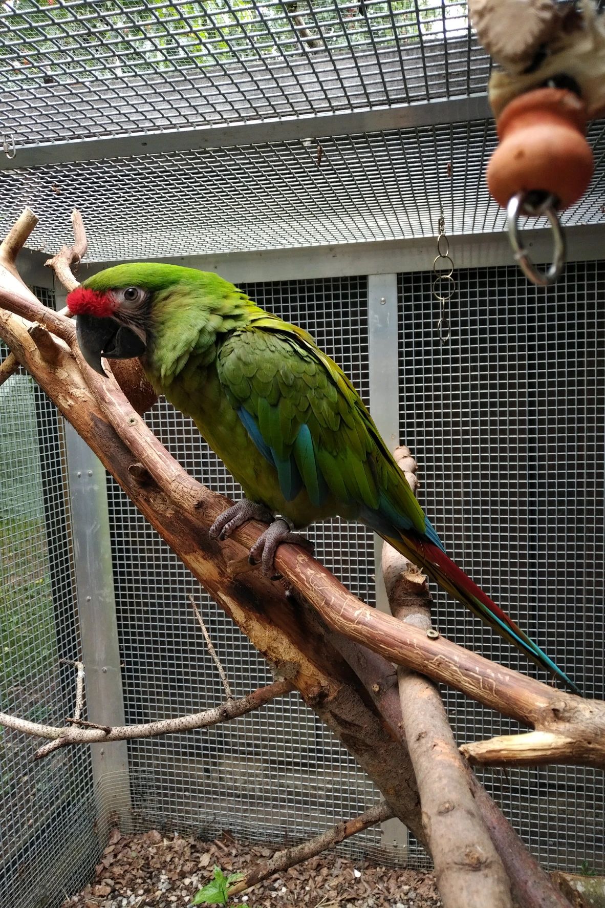 image-11
