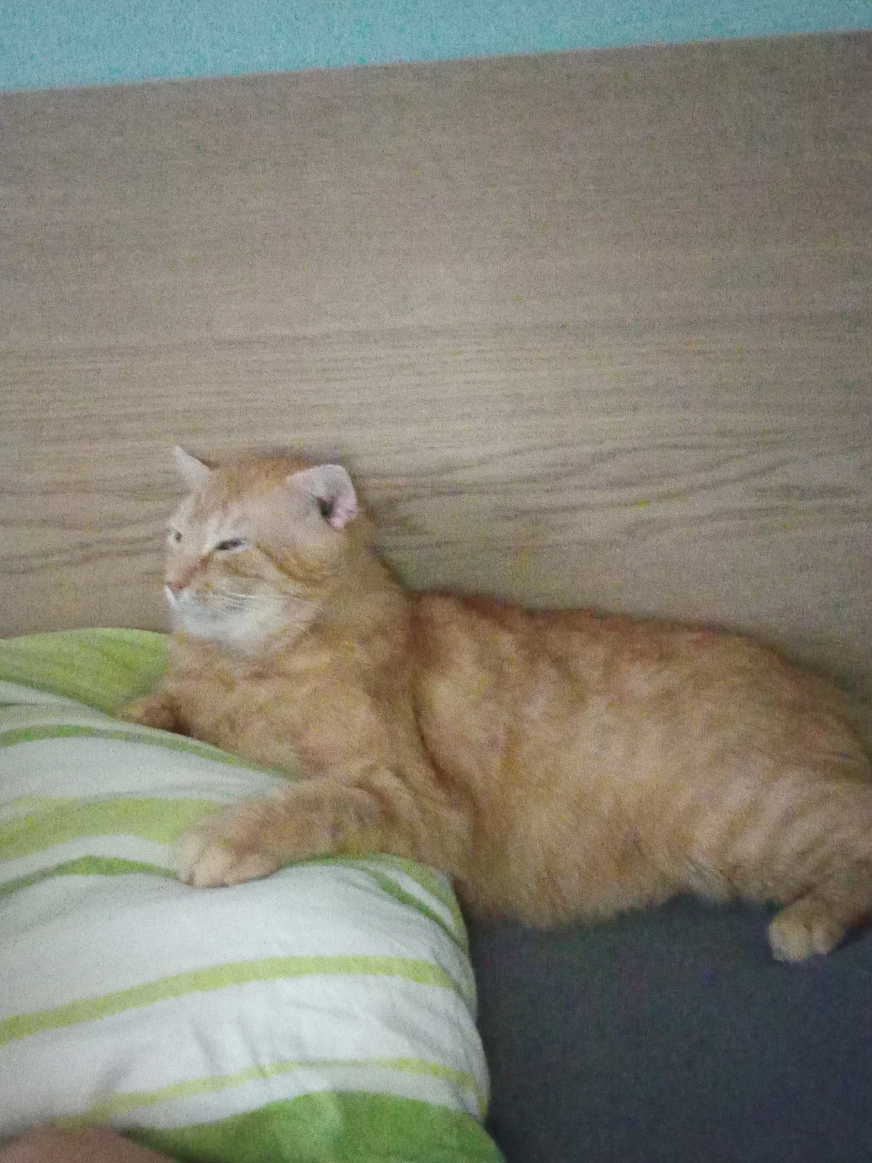 image-11