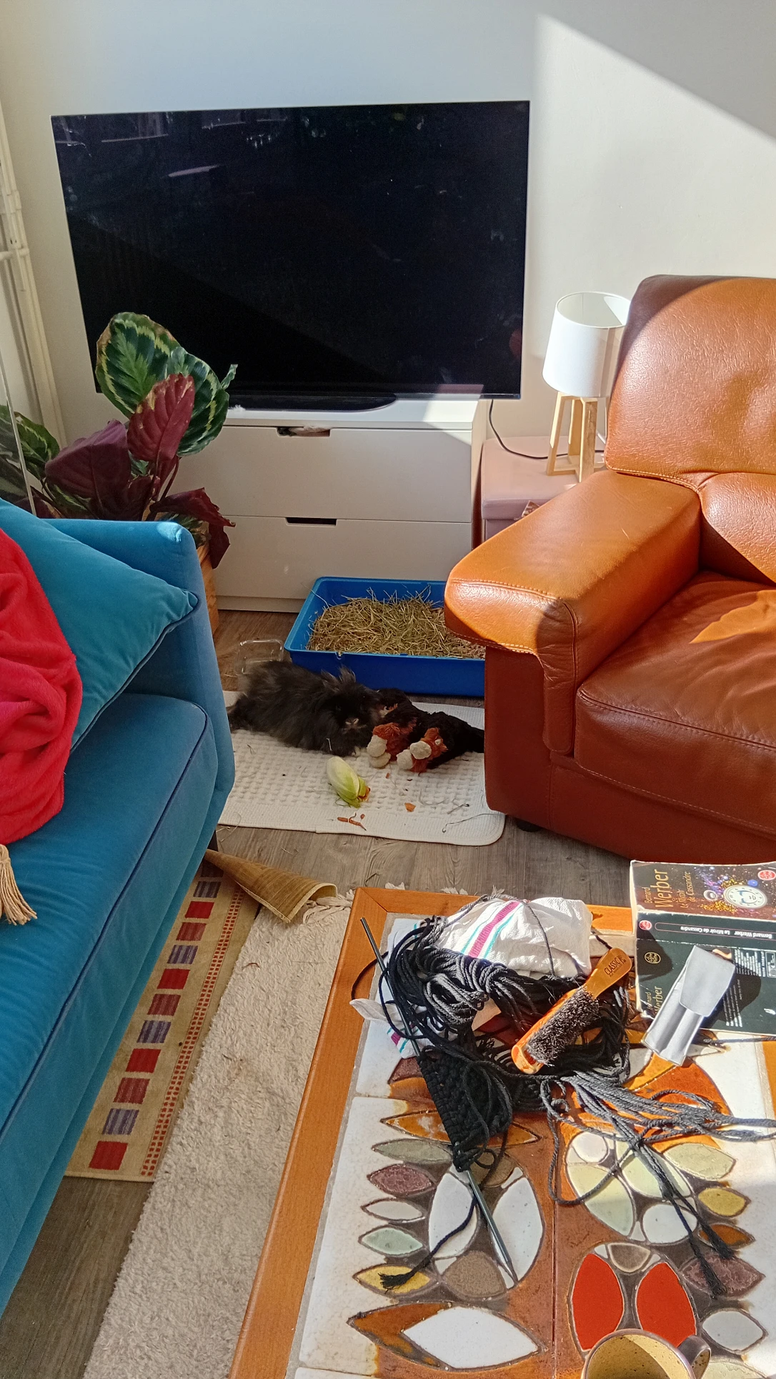 image-6