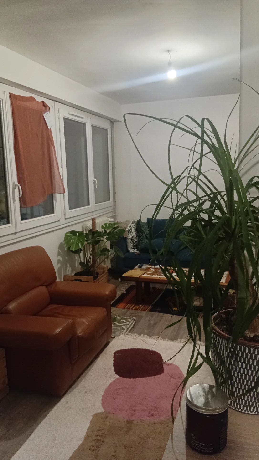 image-18