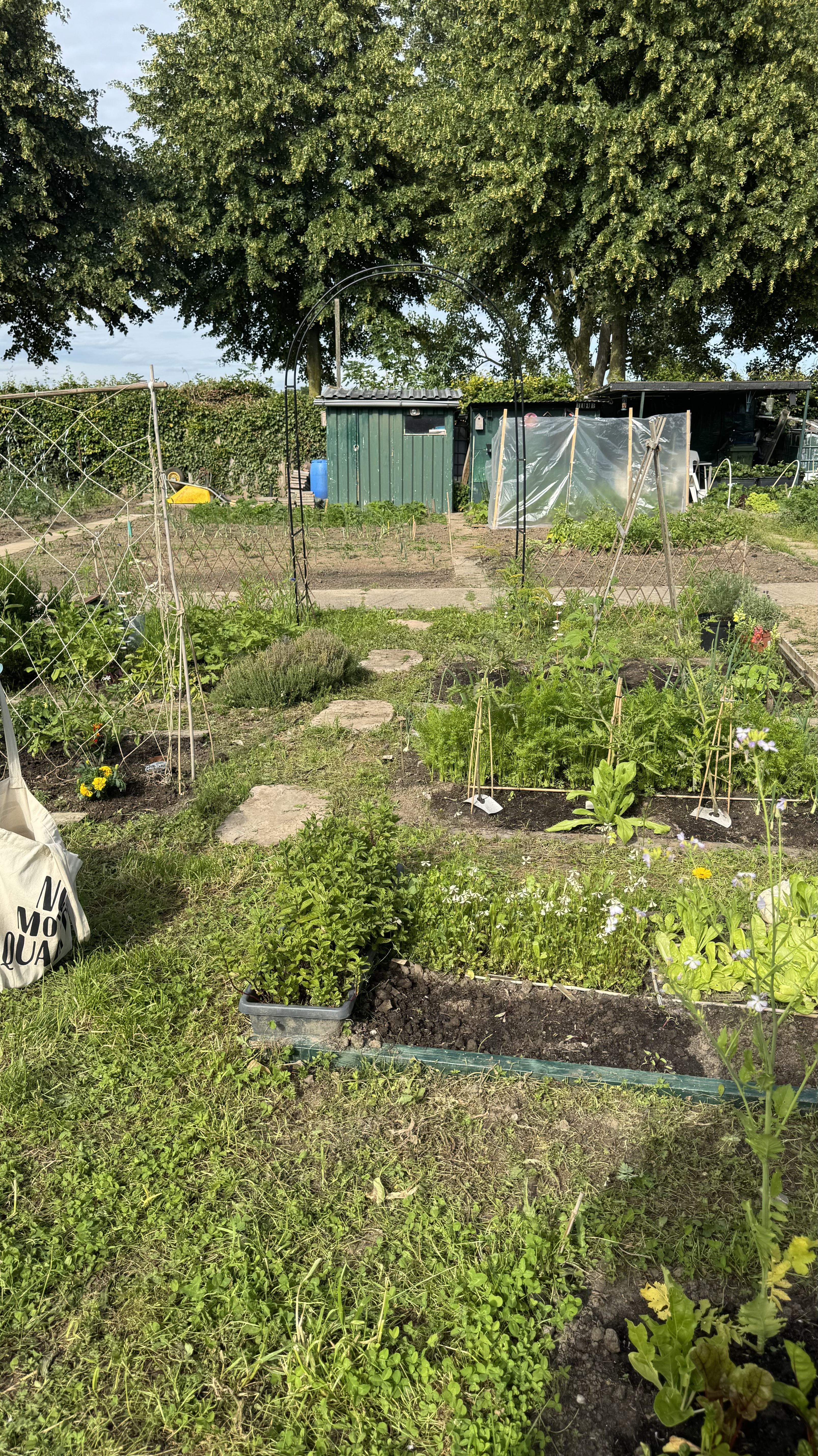 image-9