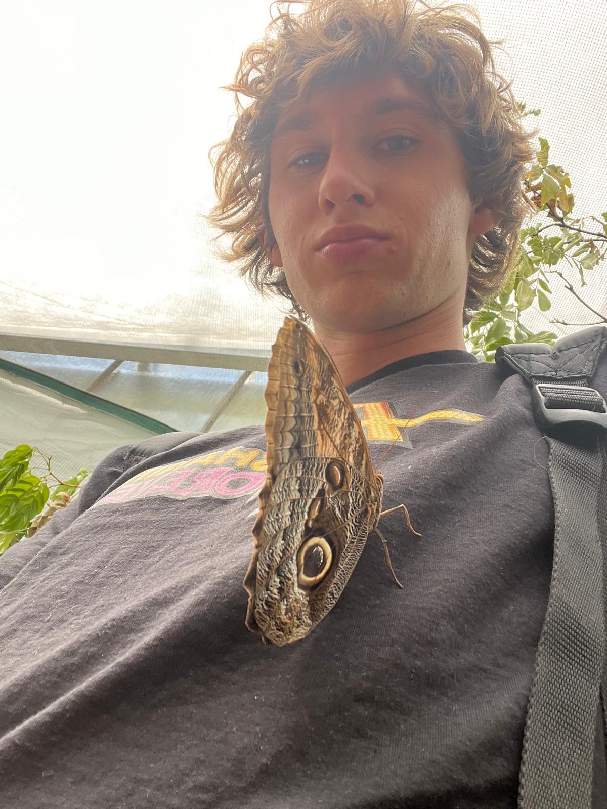 image-6
