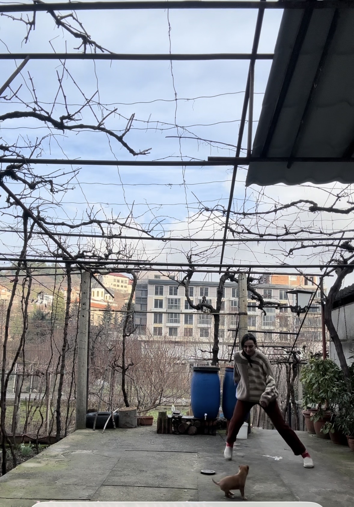 image-12