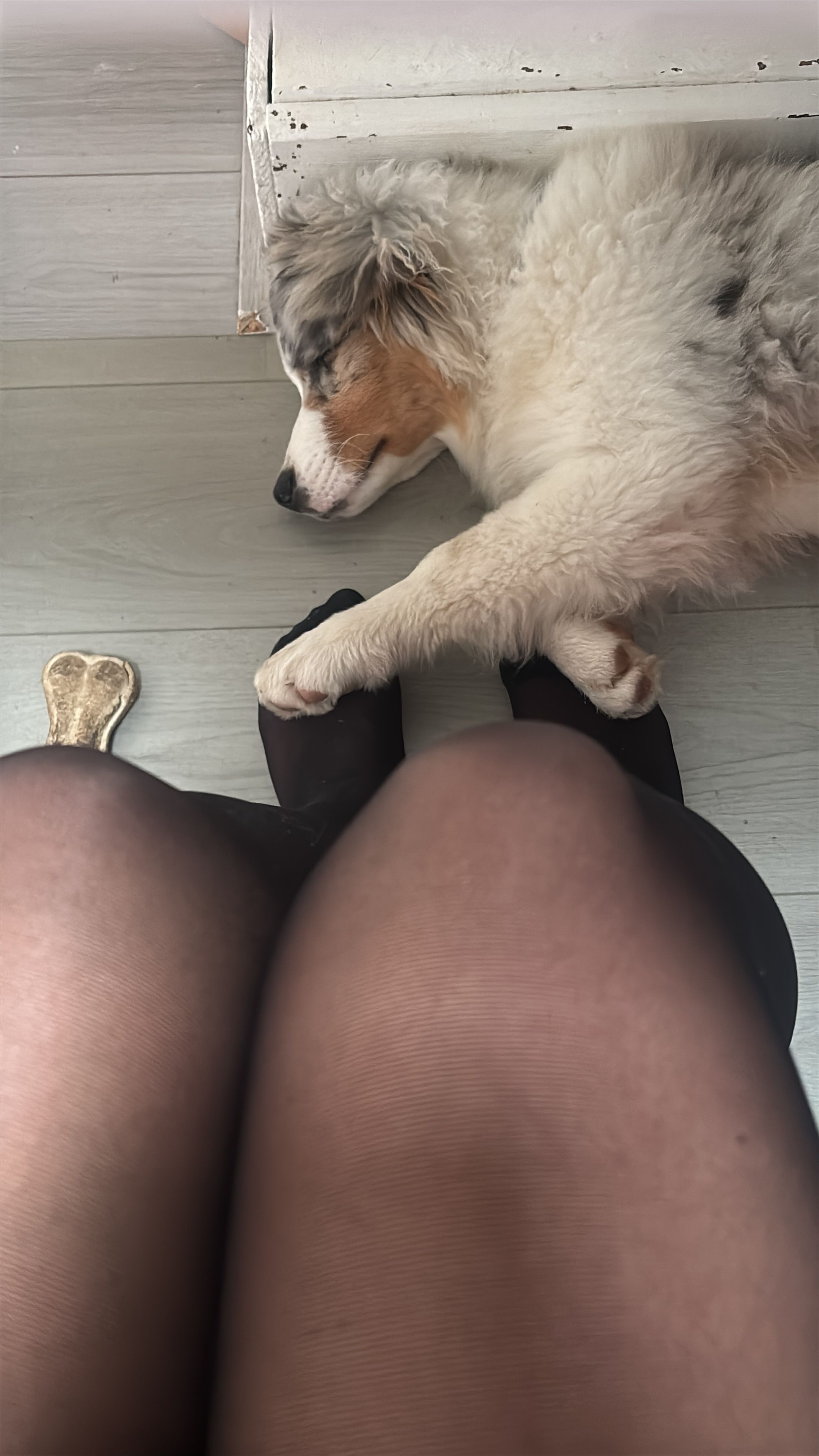 image-8