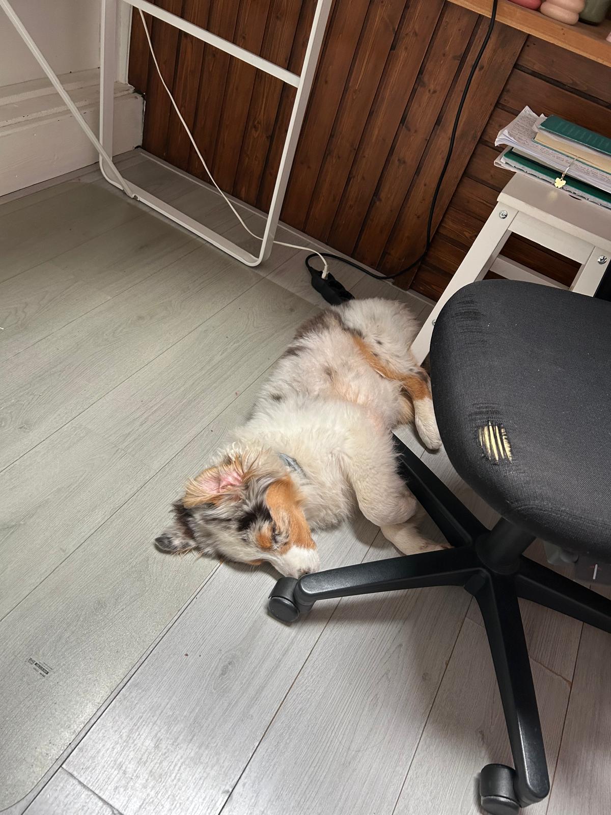 image-11