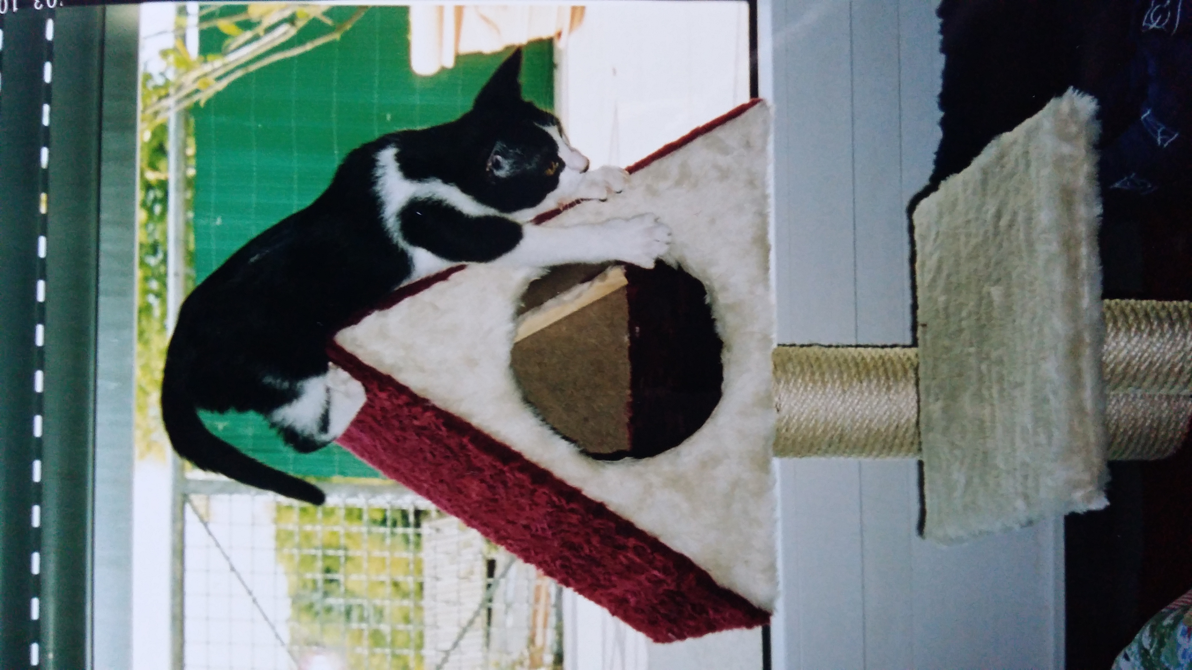 image-12