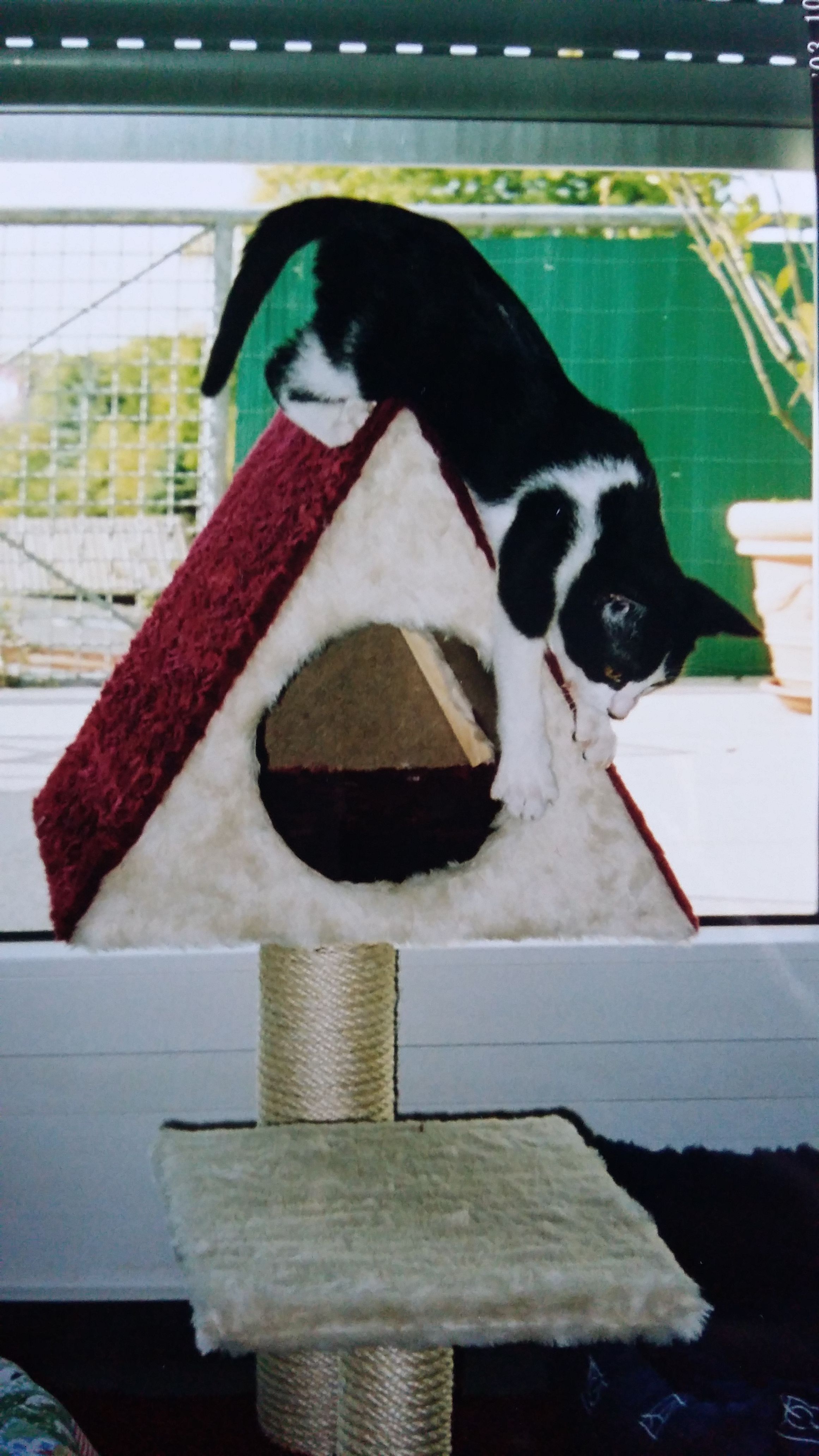 image-12
