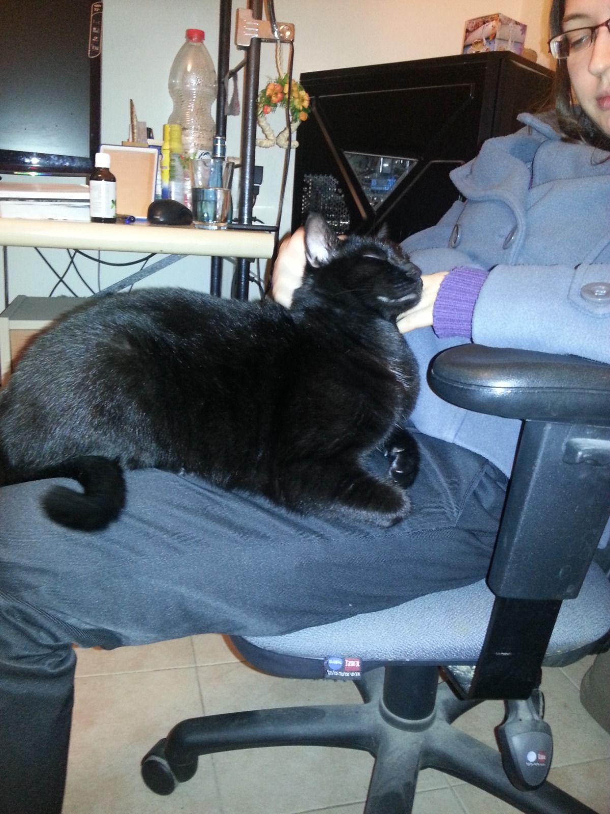 image-7