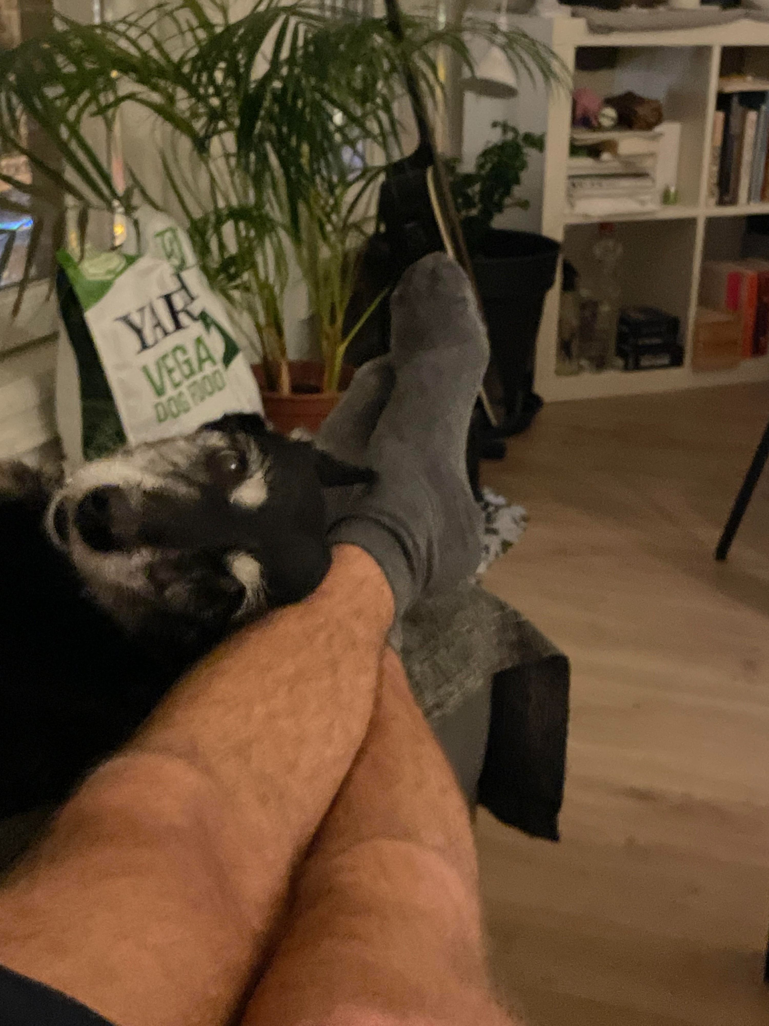 image-10