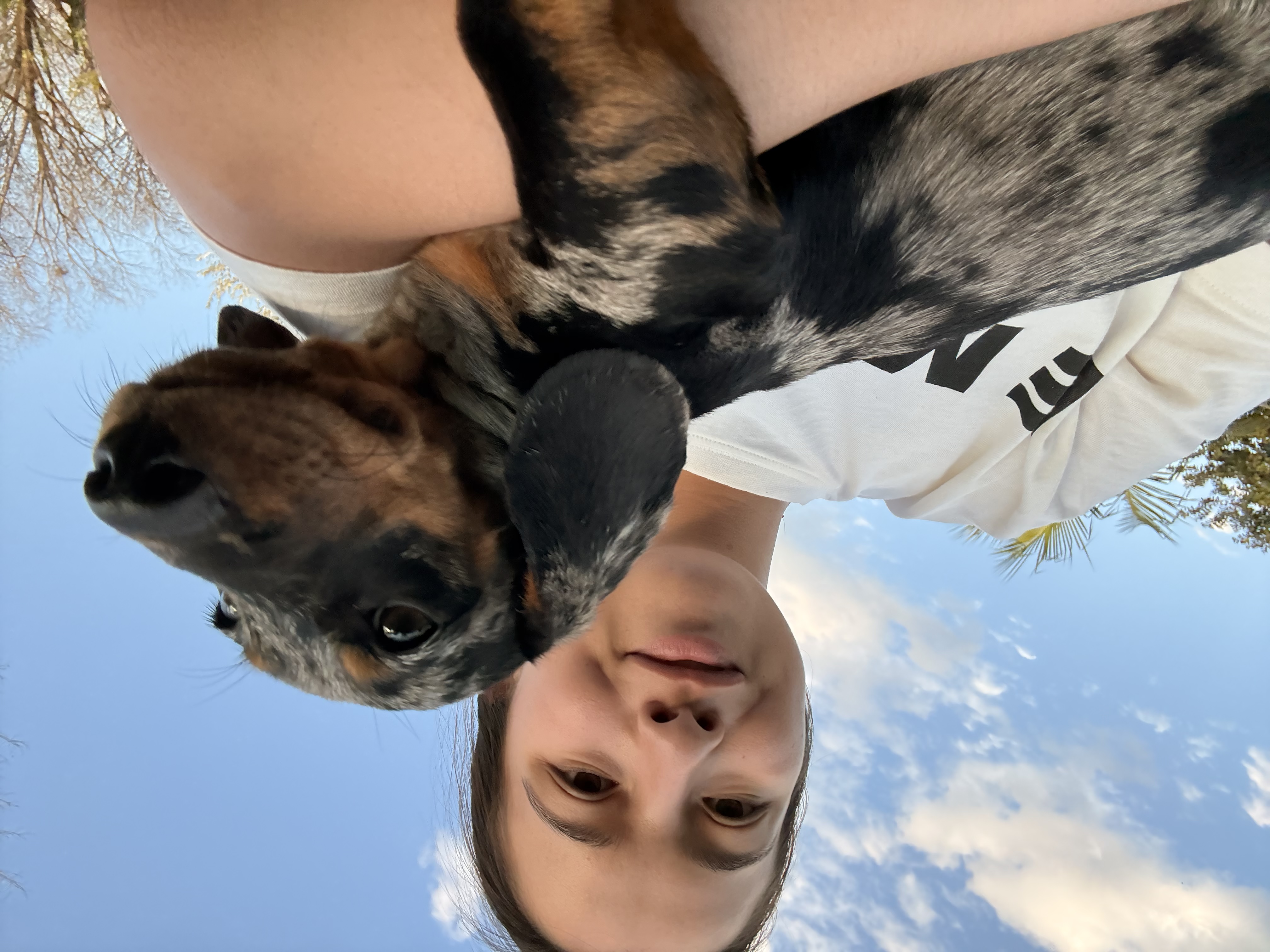 image-6