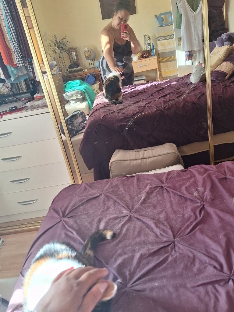 image-7