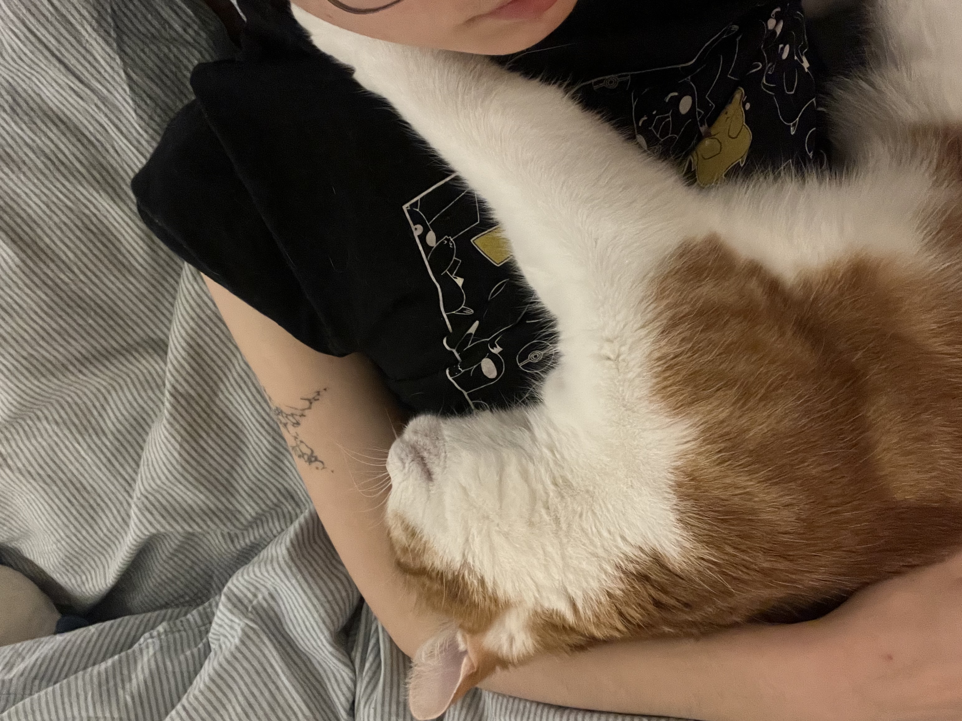 image-6