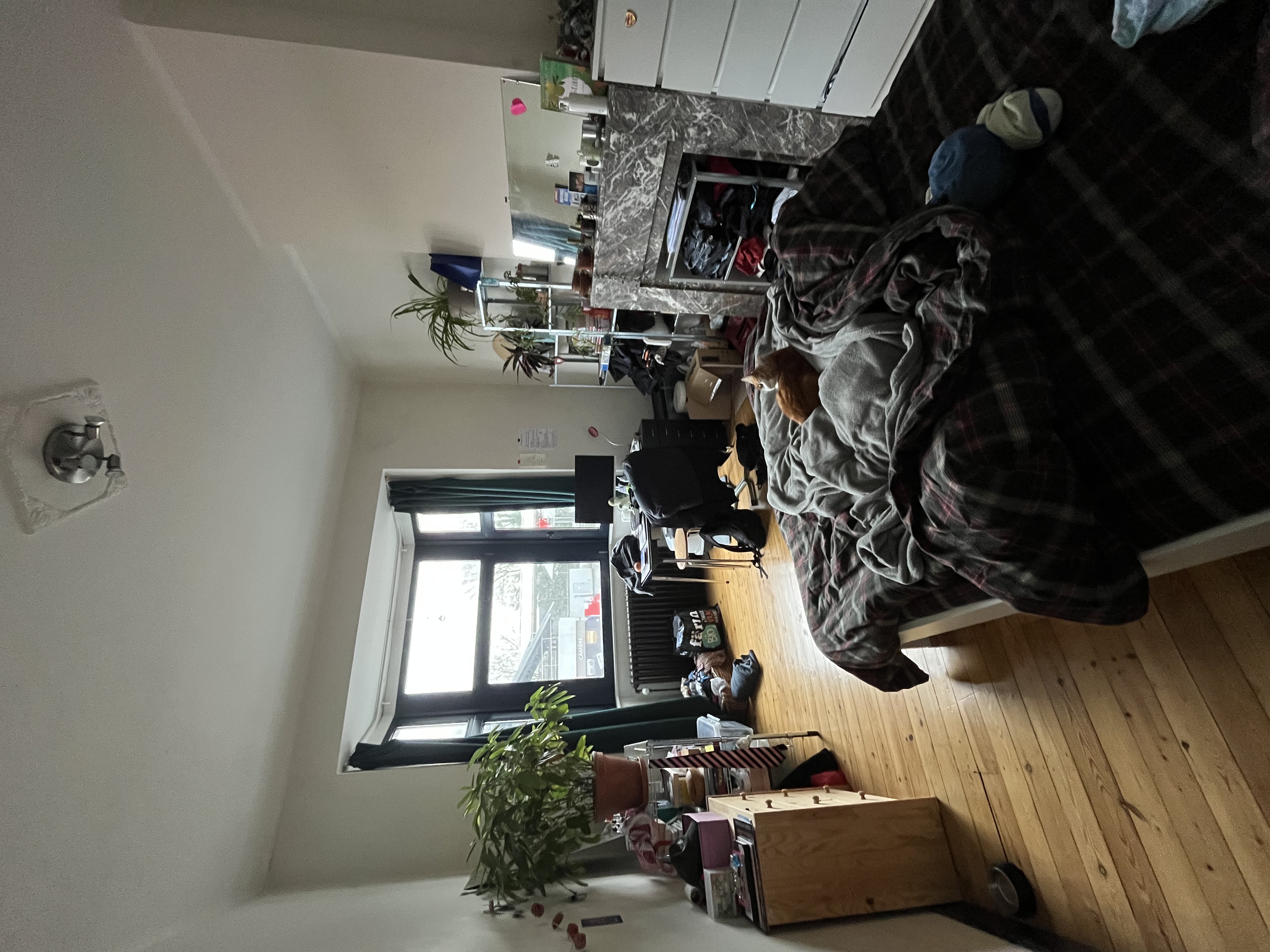 image-16