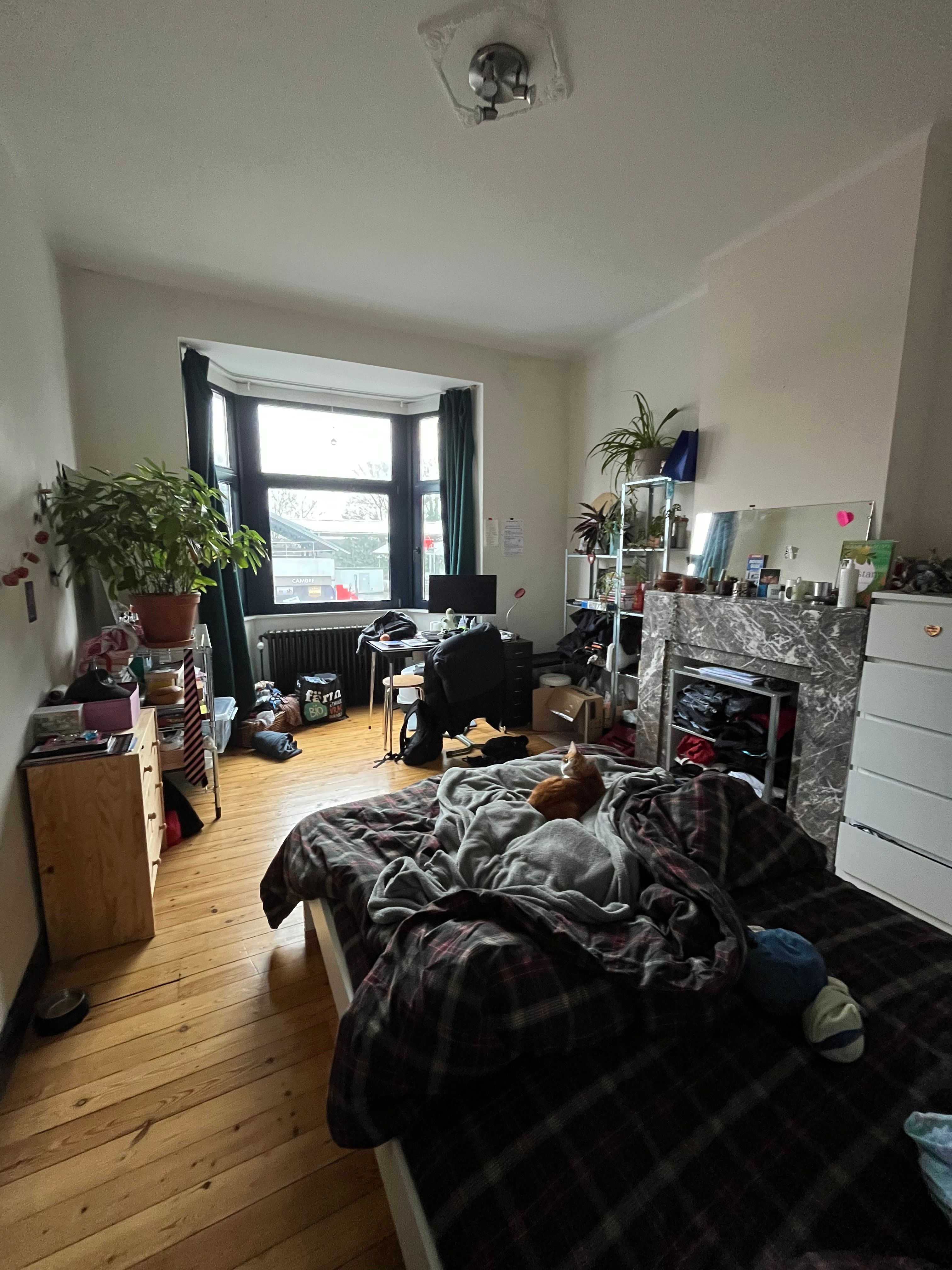 image-16