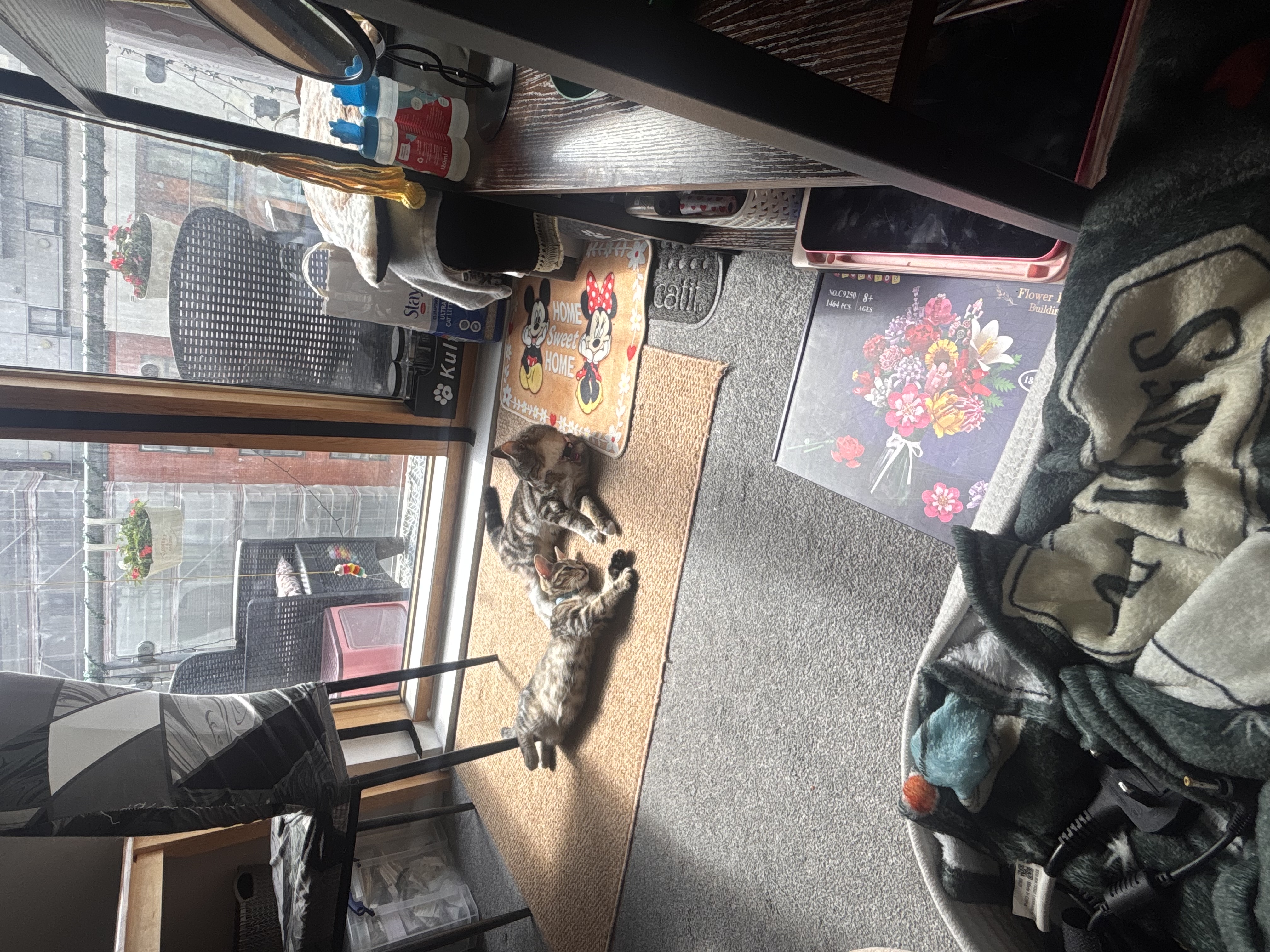 image-8