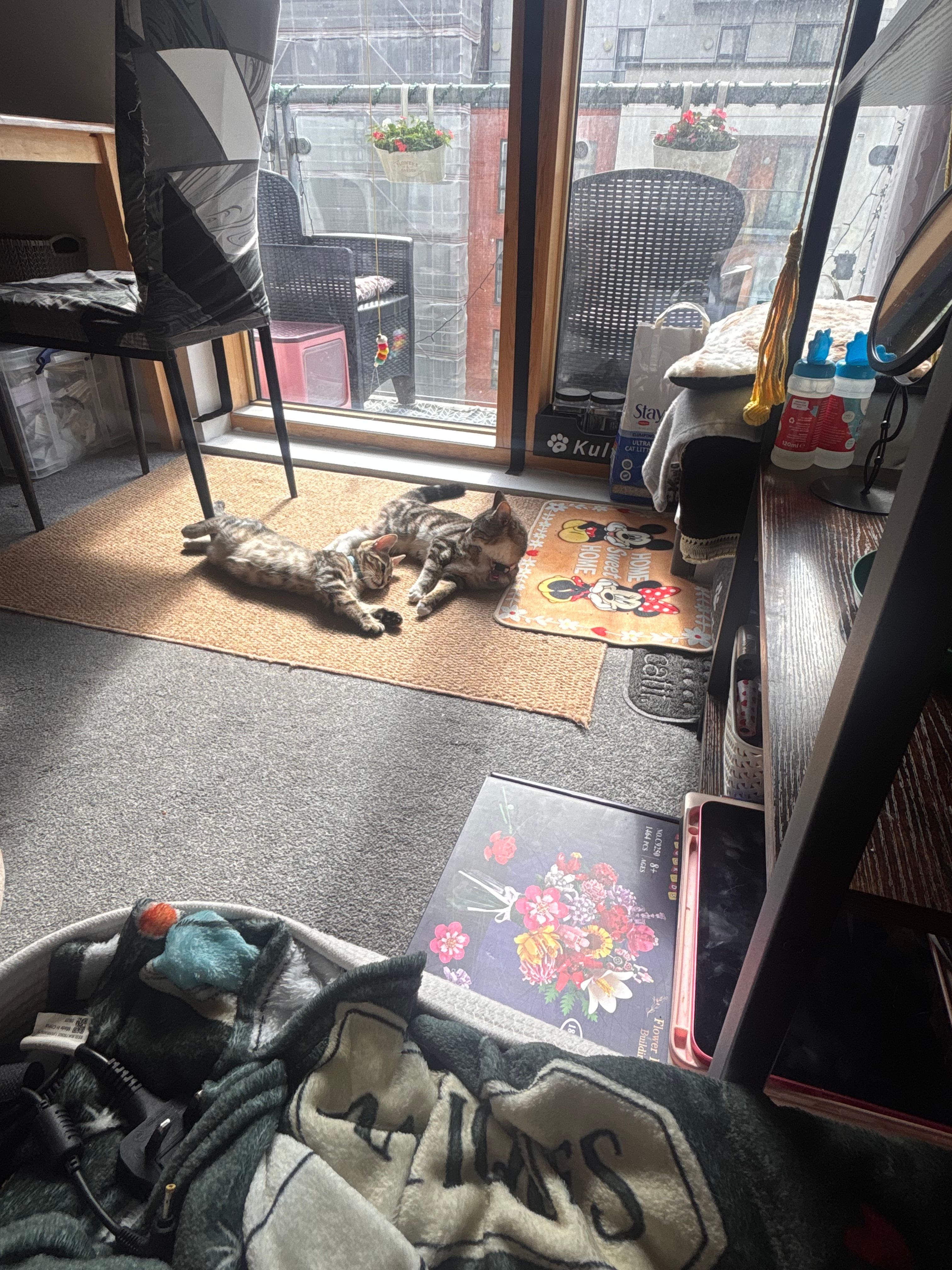 image-8