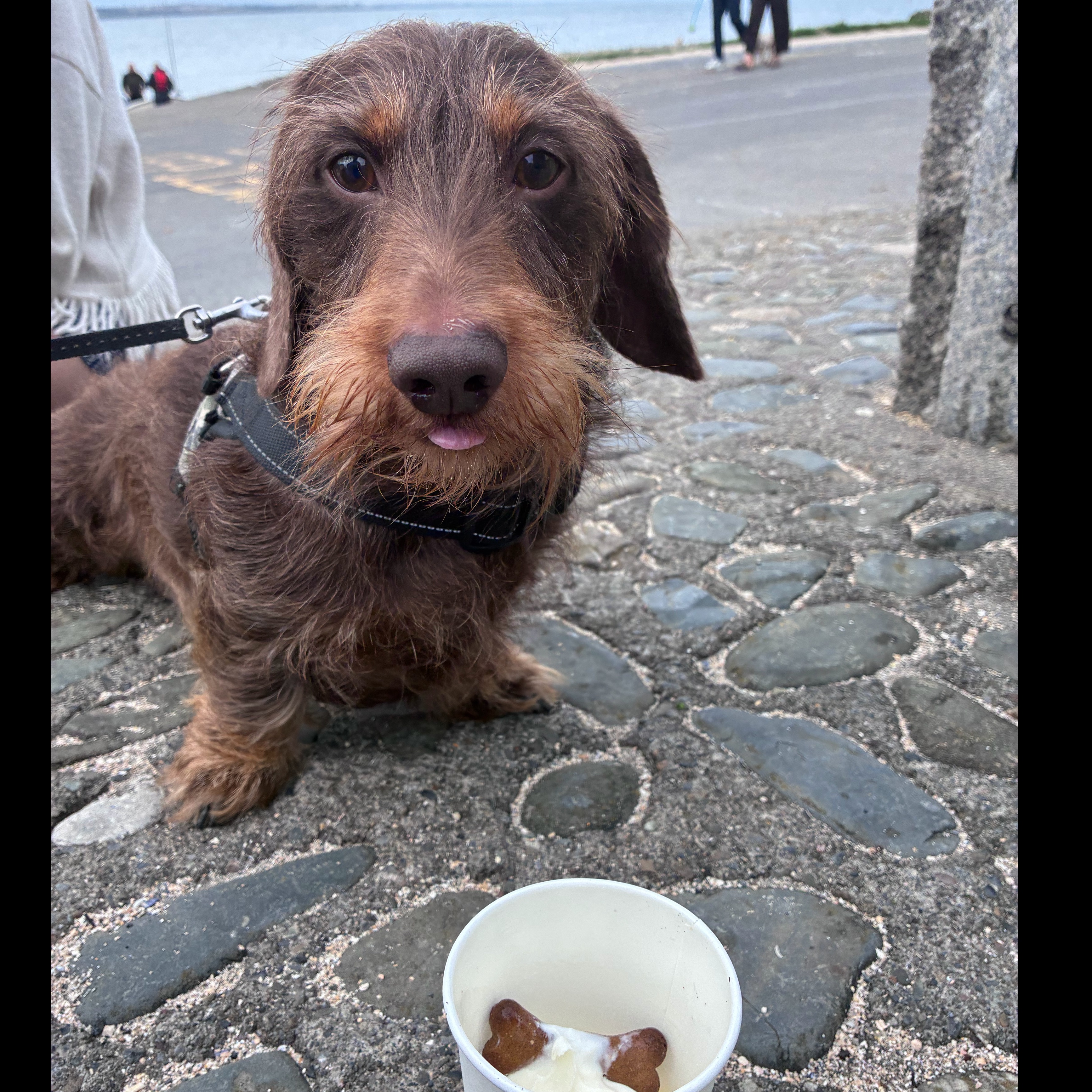 Mochi