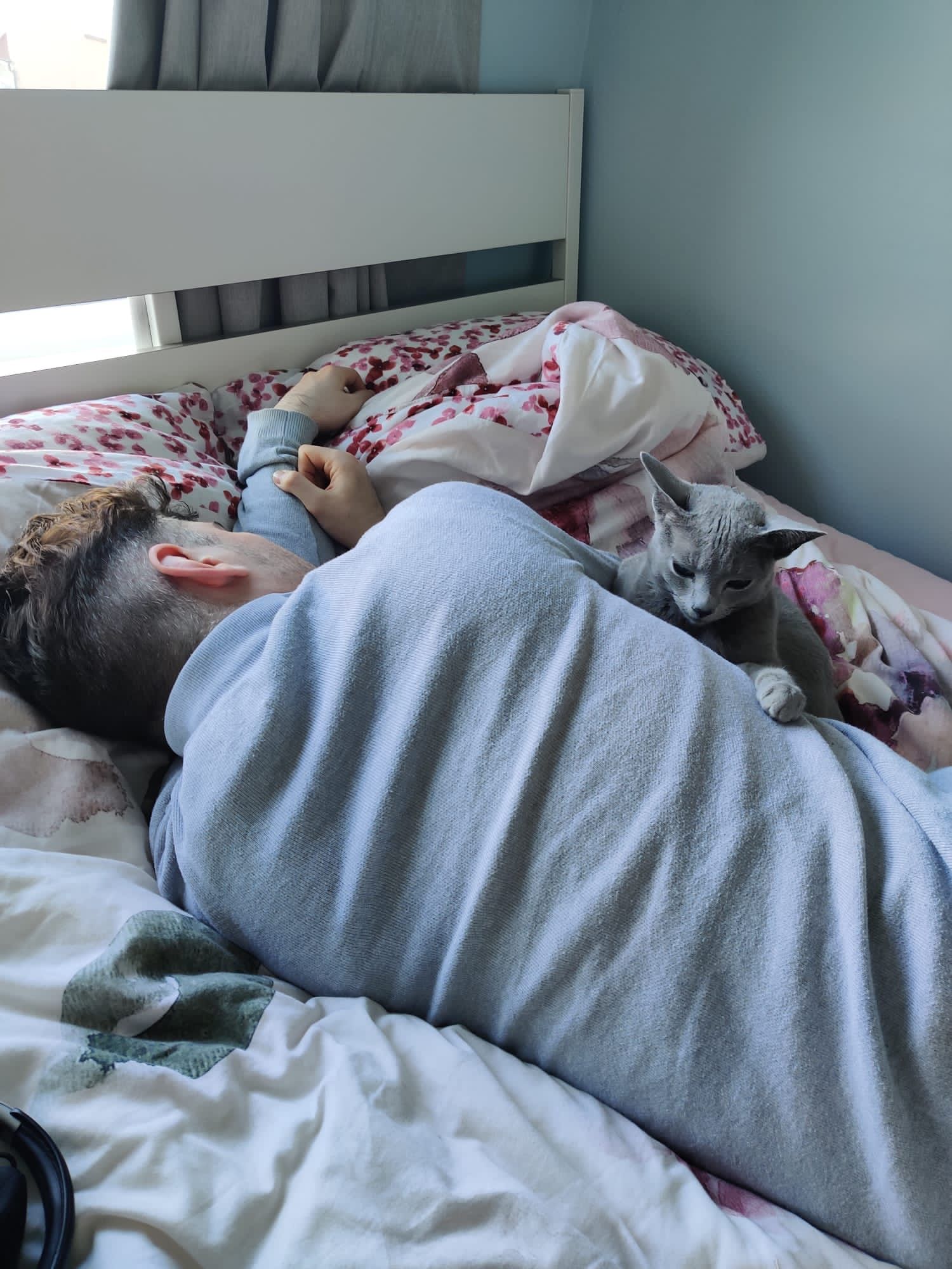 image-6