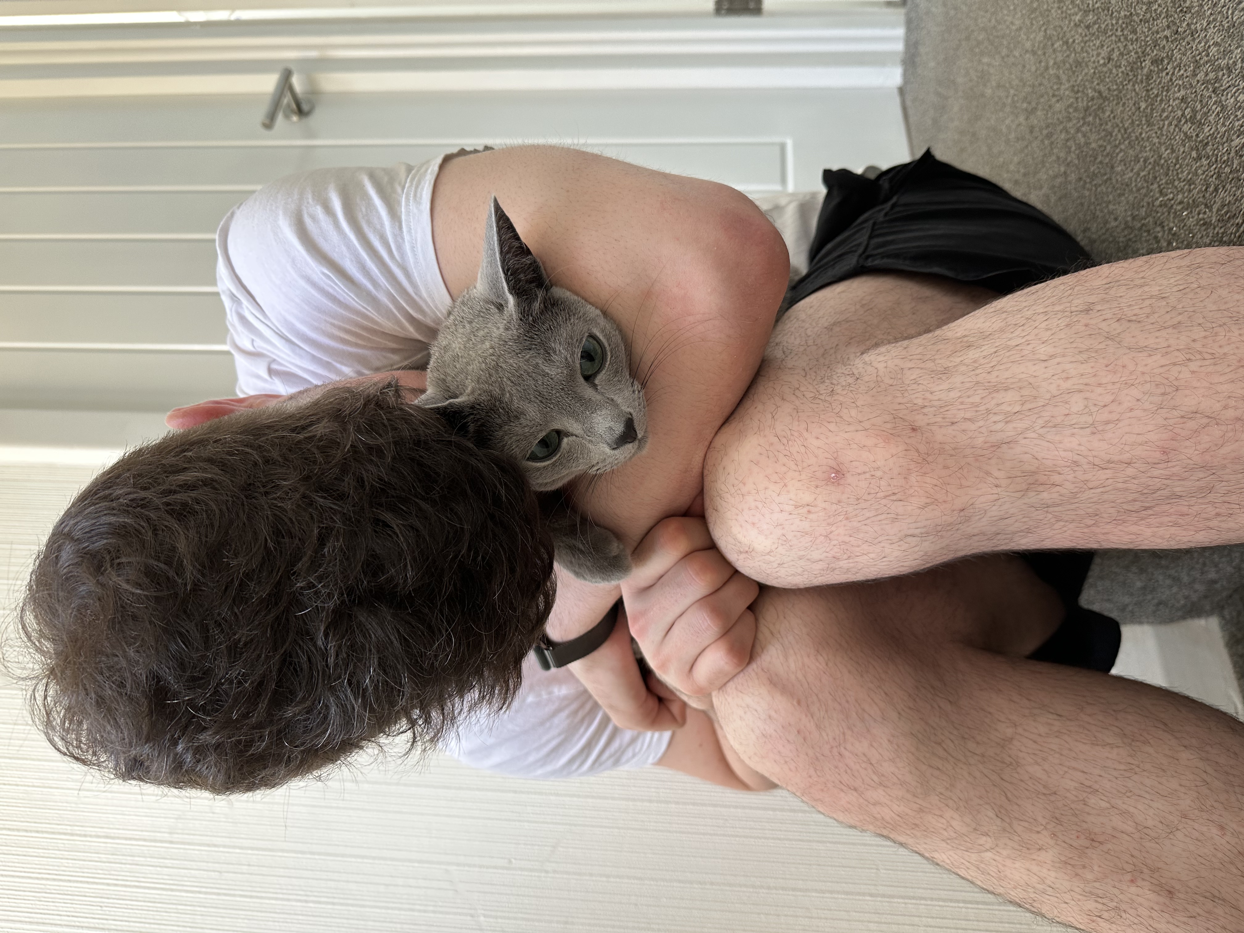 image-8