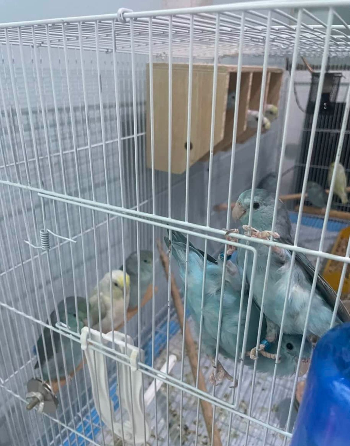 image-13