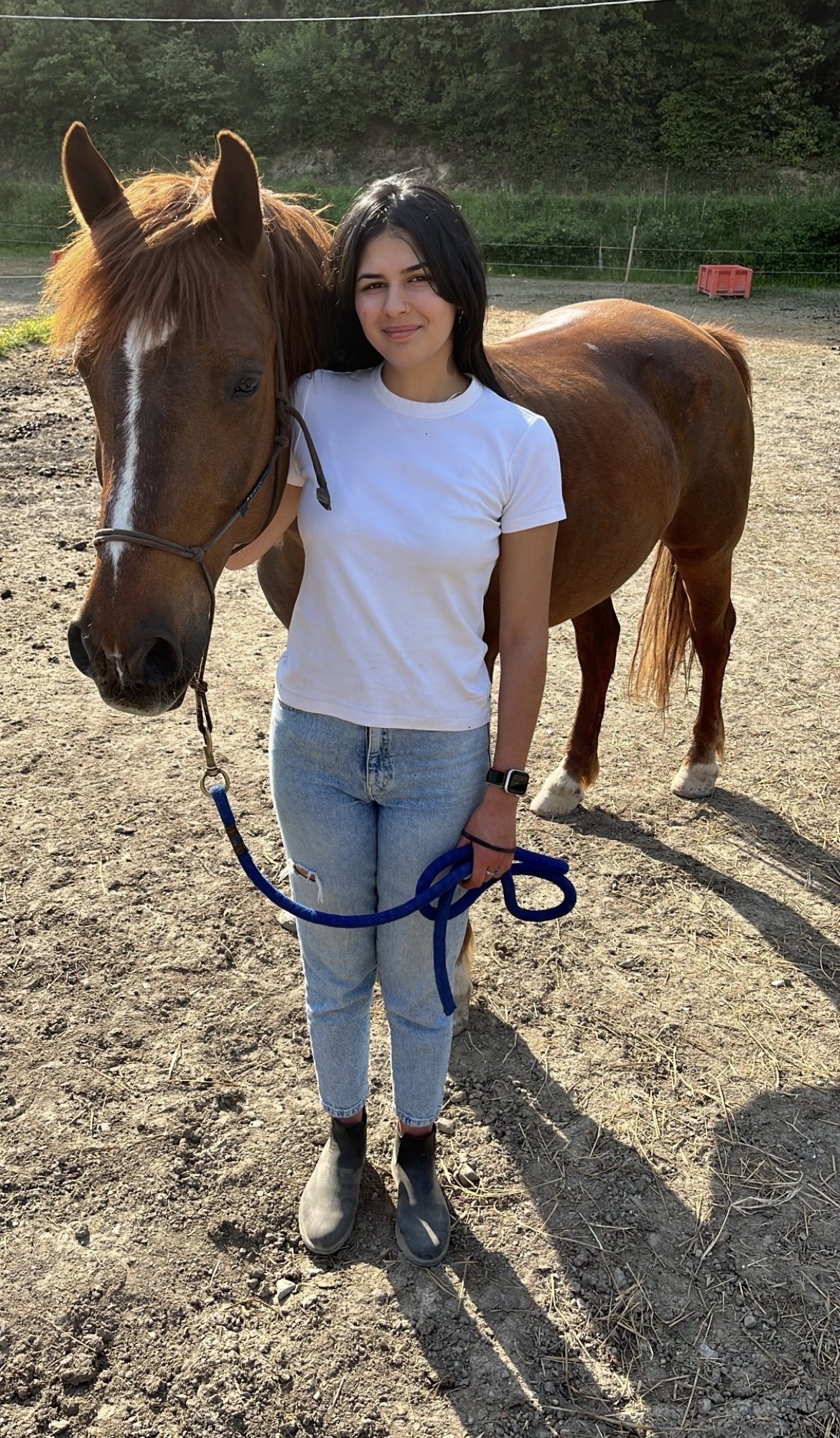 image-2