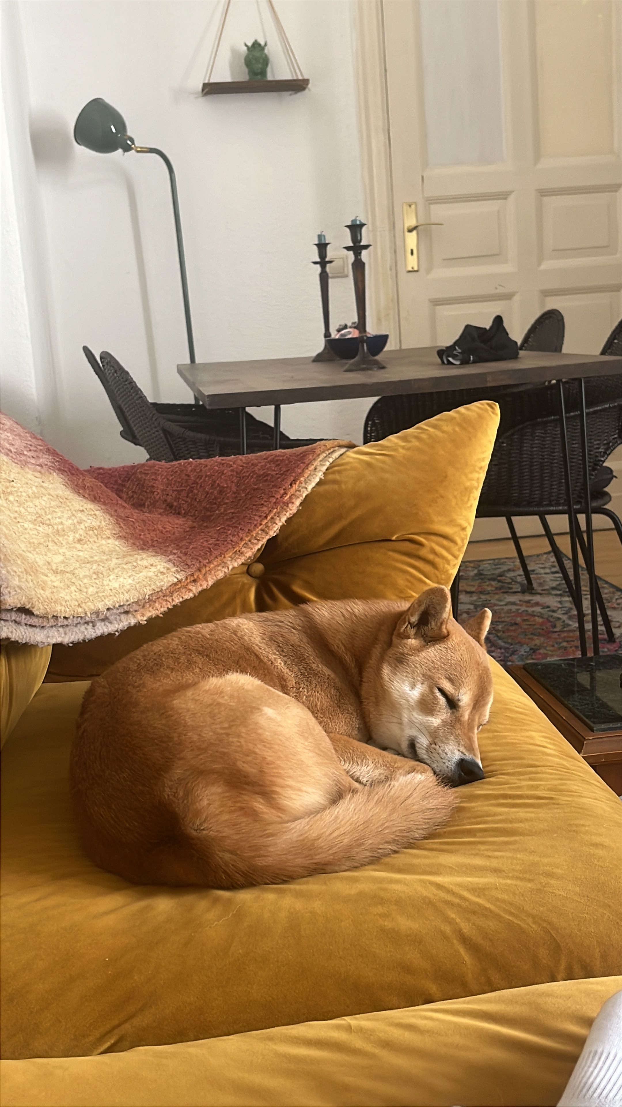 image-16