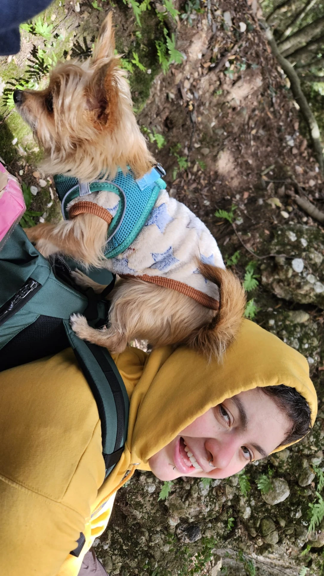 image-8