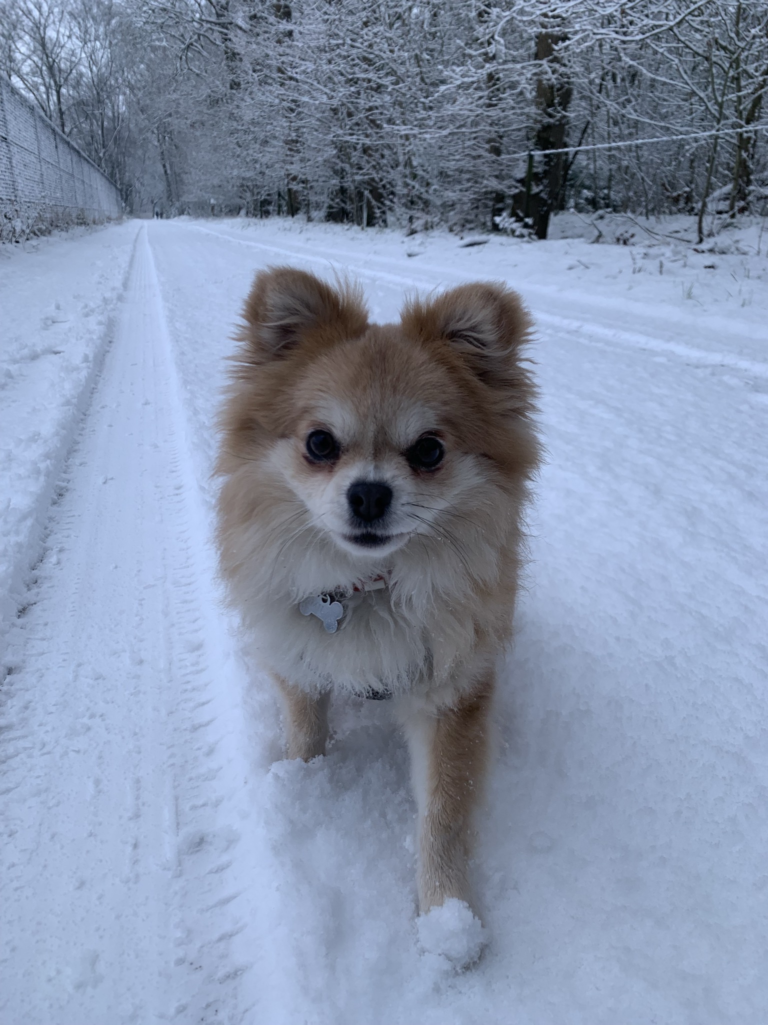 image-7