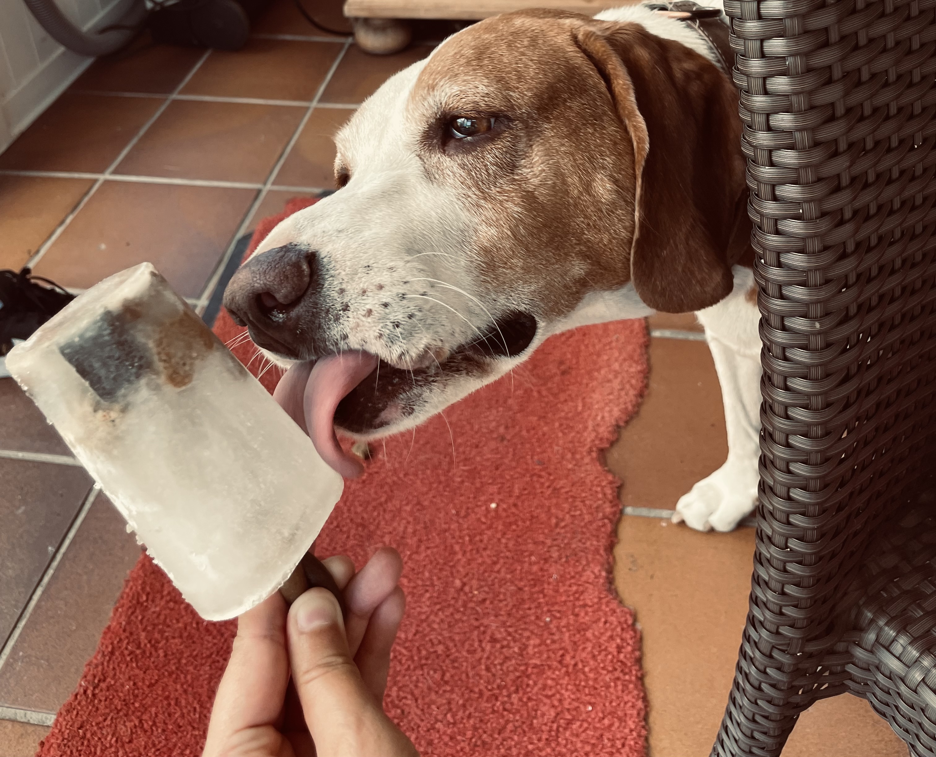 image-6
