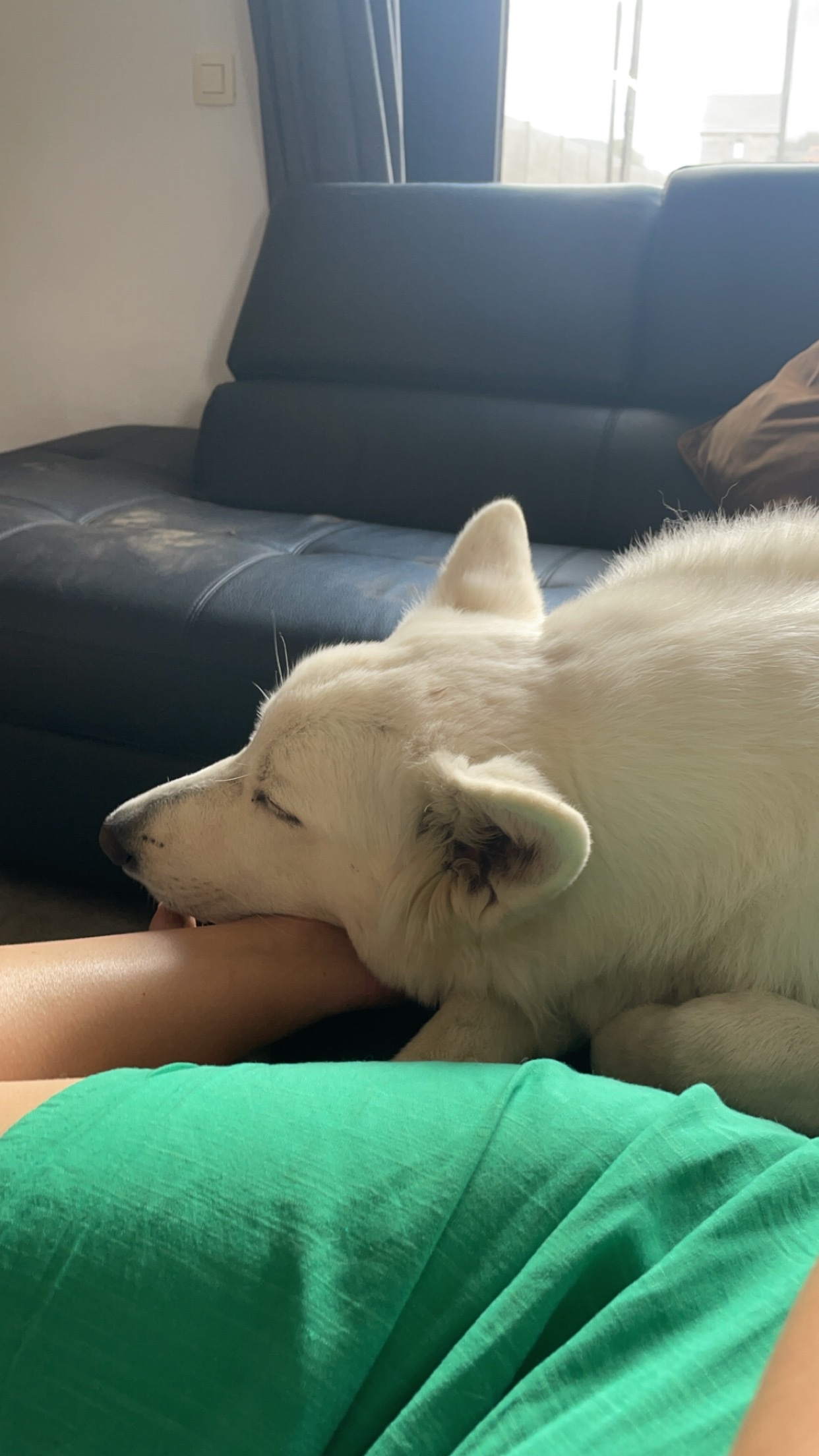 image-8
